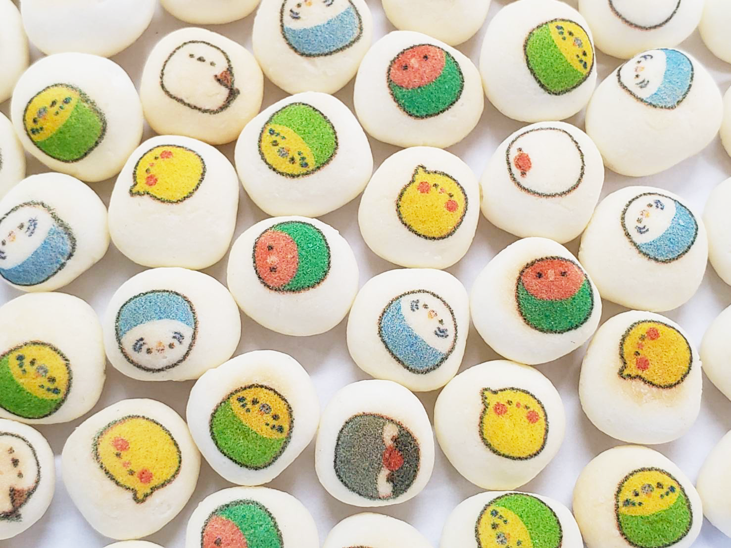 【ココロ】ことりのおおきなあそびば ココロ】ことりのおおきなあそびば ココロ】ことりのおおきな