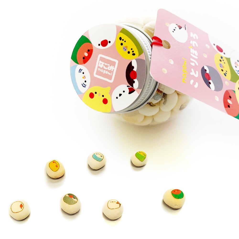 【ココロ】ことりのおおきなあそびば ココロ】ことりのおおきなあそびば Kodomo No Hi - Children's