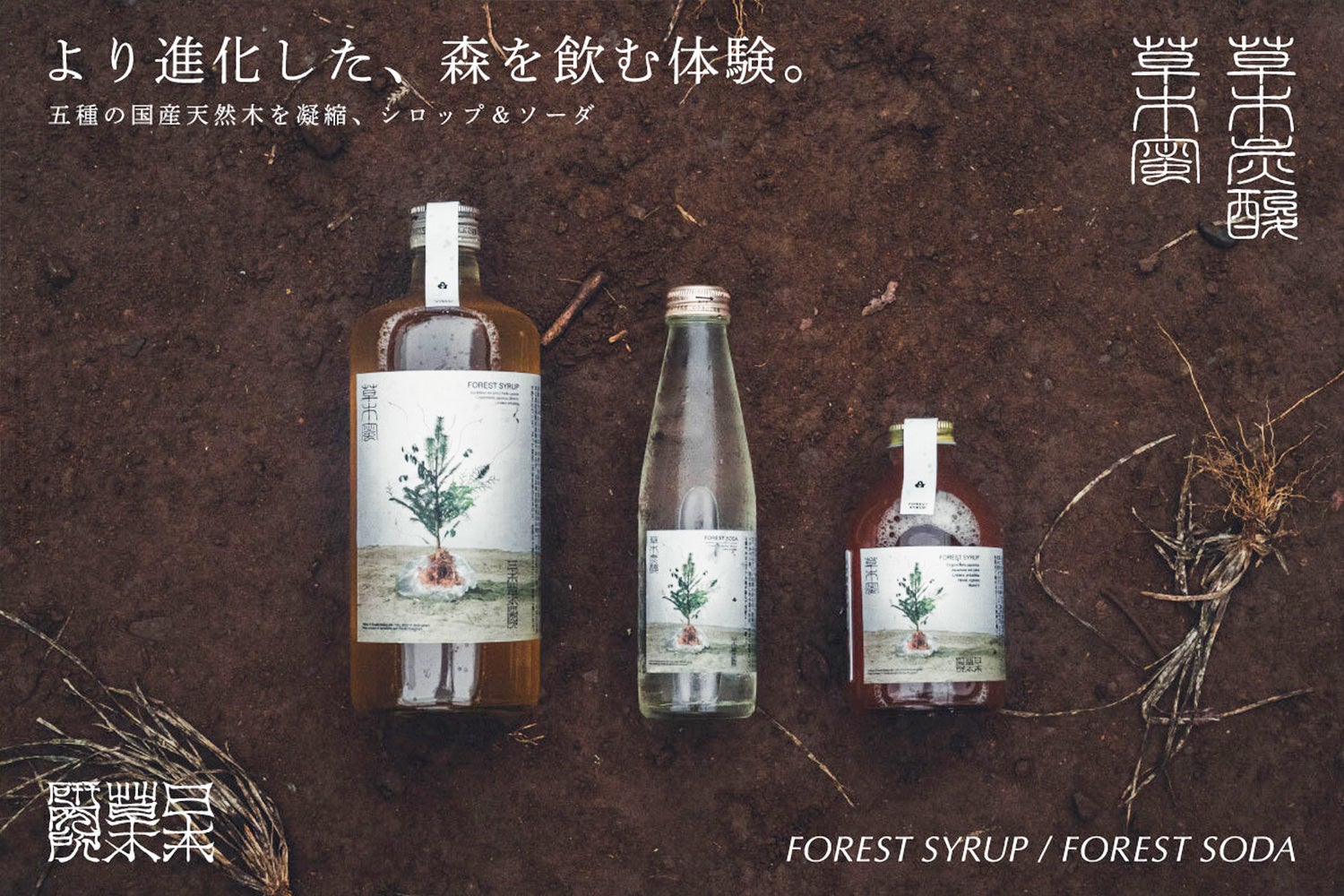 森林浴 飲む、森林浴」木をおいしく食用化。”フォレストソーダ”がリニューアル! | 株式会社山伏のプレスリリース