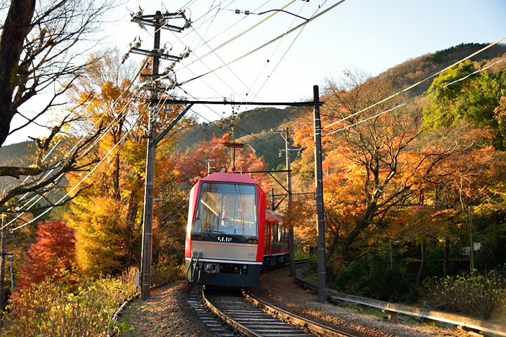 箱根登山電車(イメージ)