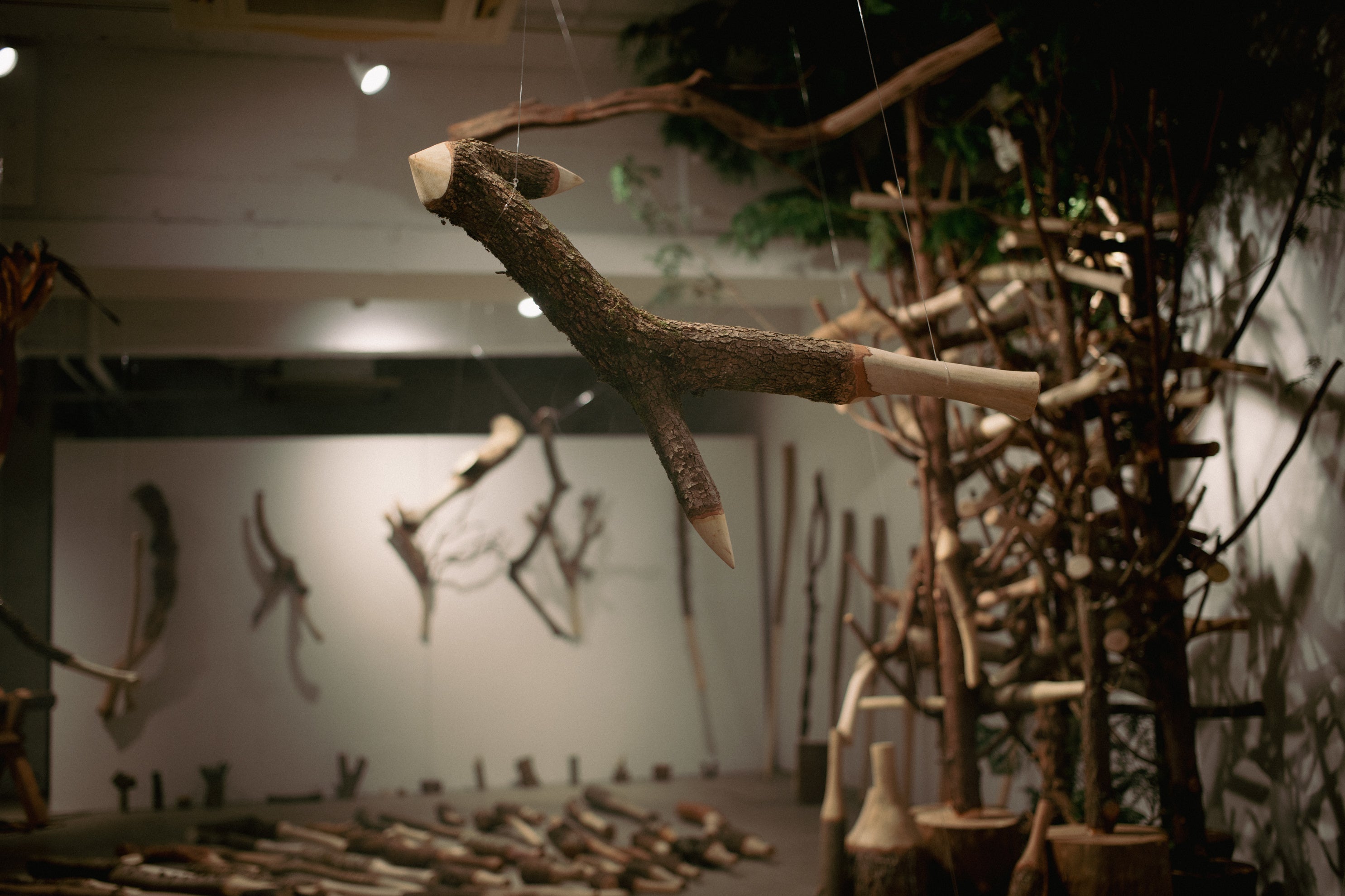 ※画像はイメージです