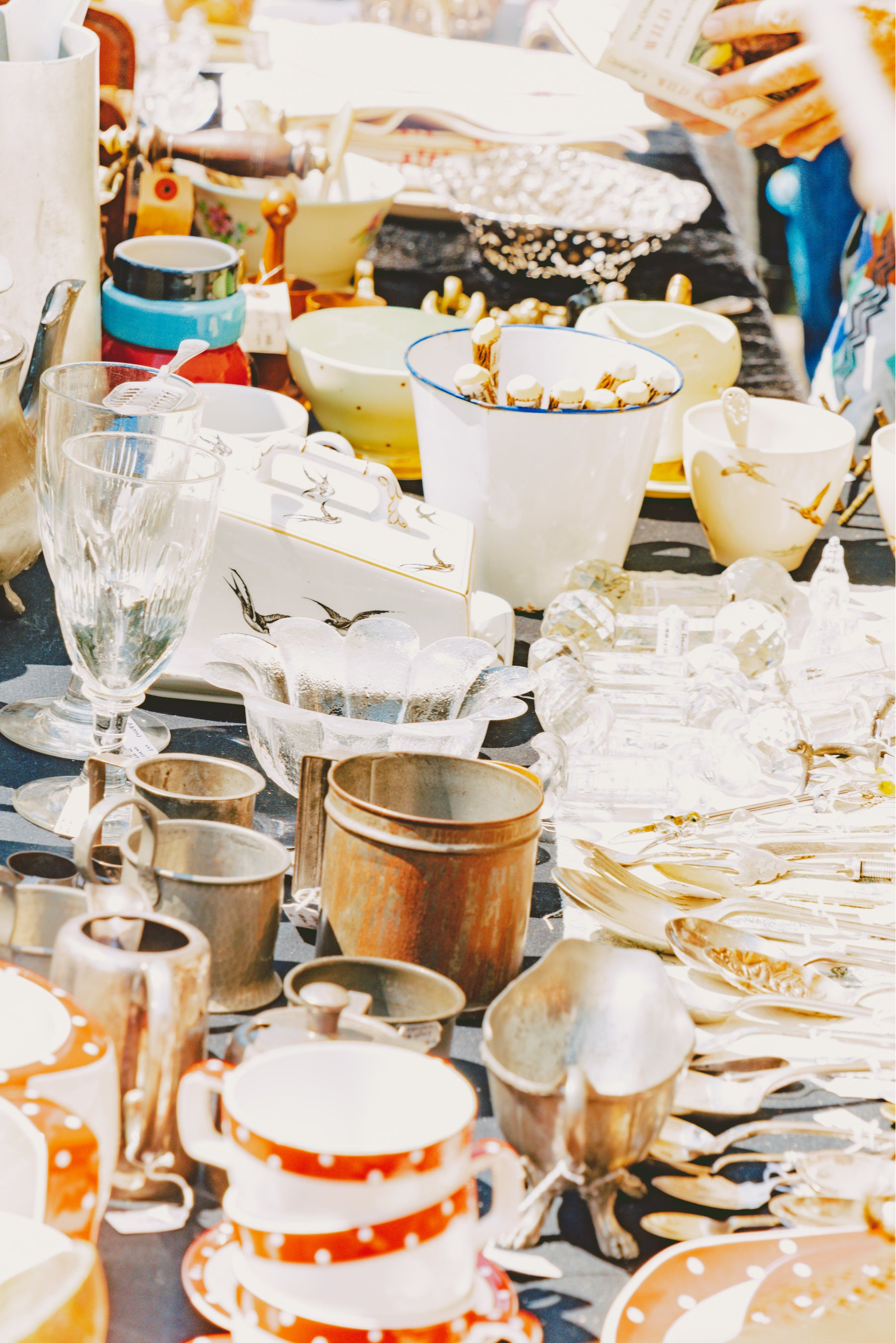 photo Rintaro Kanemoto