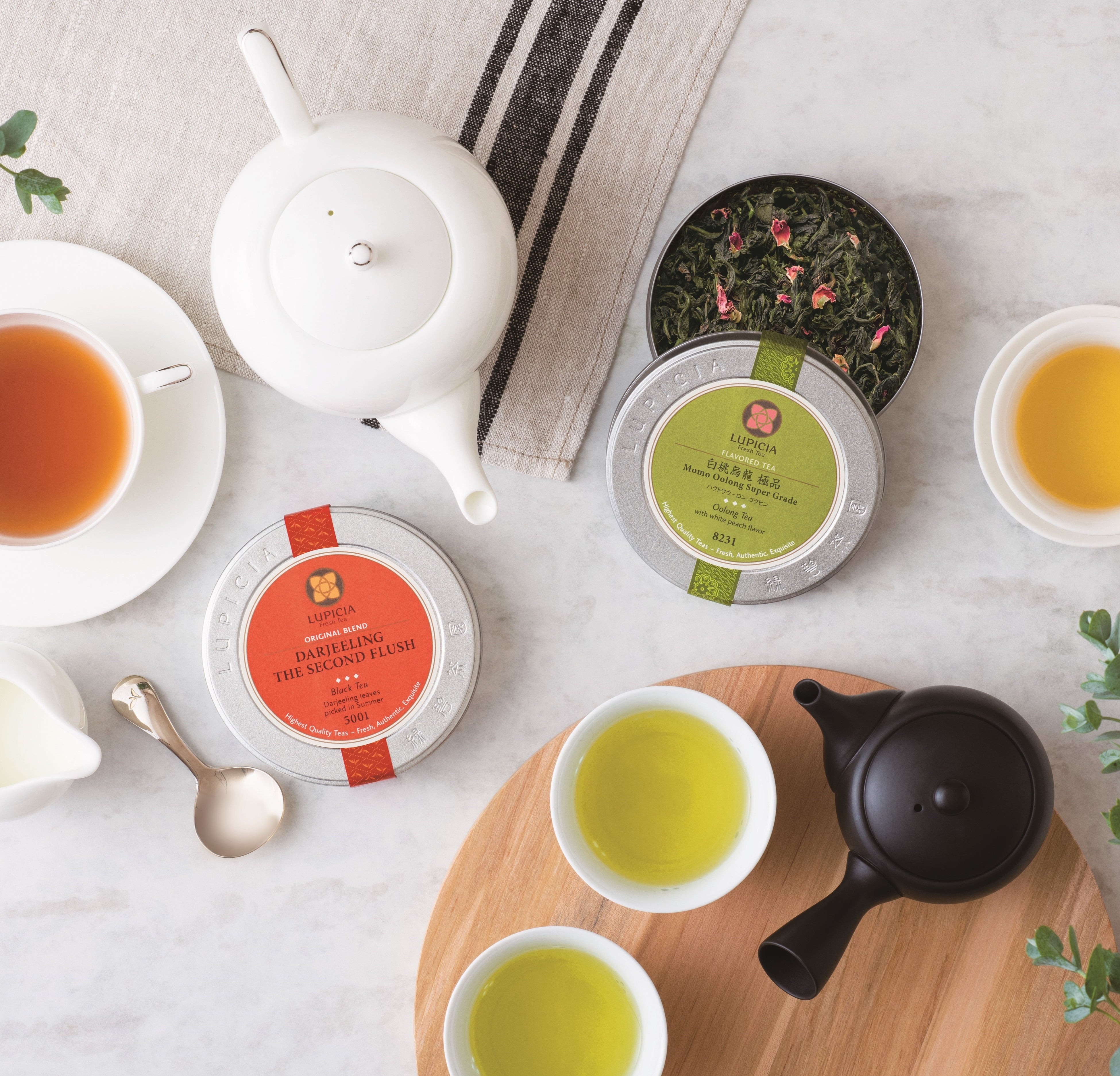 【函館 蔦屋書店】世界のお茶専門店「ルピシア」が2/13(金)にオープン