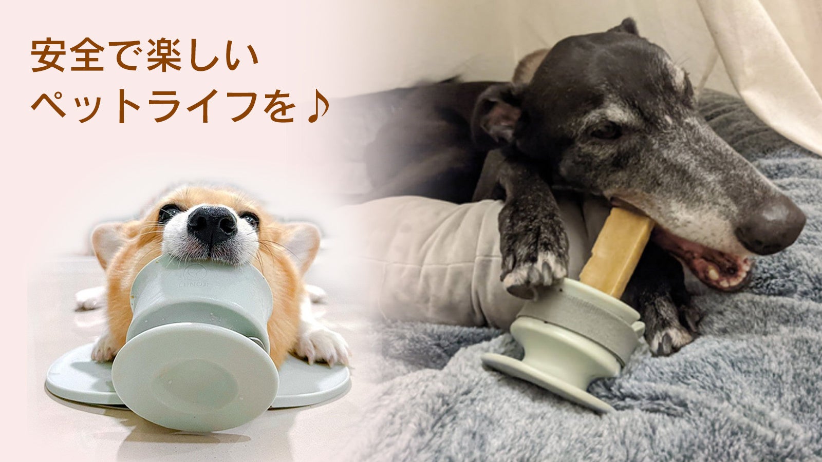 ワンちゃんオーナーのお悩み解決 おやつ丸呑み防止ホルダー Chewden を5月19日 木 から応援購入サービスmakuakeにてプロジェクト開始 東京貿易ホールディングス株式会社のプレスリリース ワンちゃんオーナーのお悩み解決 おやつ丸呑み防止ホルダー Chewden を5月19日 木 から応援購入サービスmakuakeにてプロジェクト開始 東京貿易ホールディングス株式会社のプレスリリース