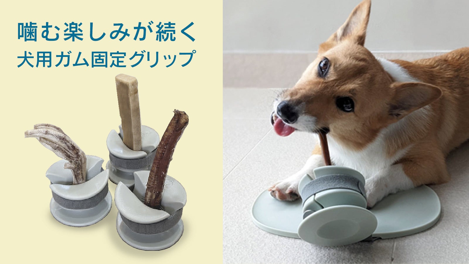 ワンちゃんオーナーのお悩み解決 おやつ丸呑み防止ホルダー Chewden を5月19日 木 から応援購入サービスmakuakeにてプロジェクト開始 東京貿易ホールディングス株式会社のプレスリリース ワンちゃんオーナーのお悩み解決 おやつ丸呑み防止ホルダー Chewden を5月19日 木 から応援購入サービスmakuakeにてプロジェクト開始 東京貿易ホールディングス株式会社のプレスリリース