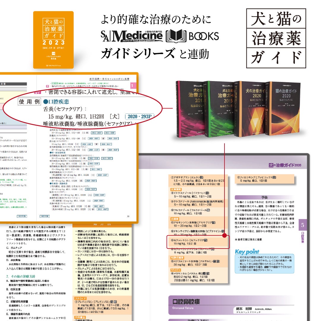 獣医専門書 犬と猫の治療薬ガイド 小動物の臨床現場における薬剤情報と解説書の決定版「犬と猫の