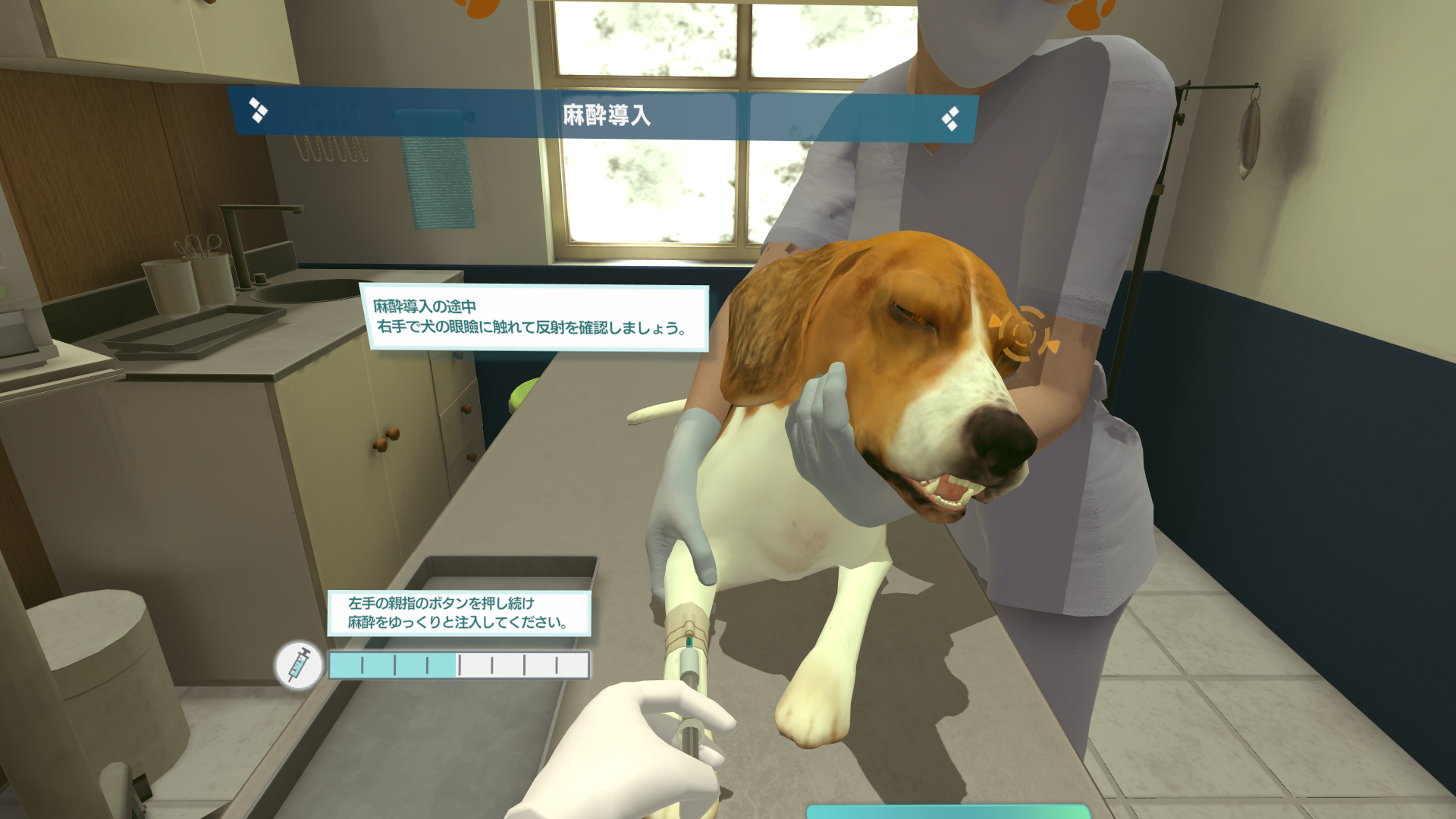 犬の気管挿管_麻酔導入中