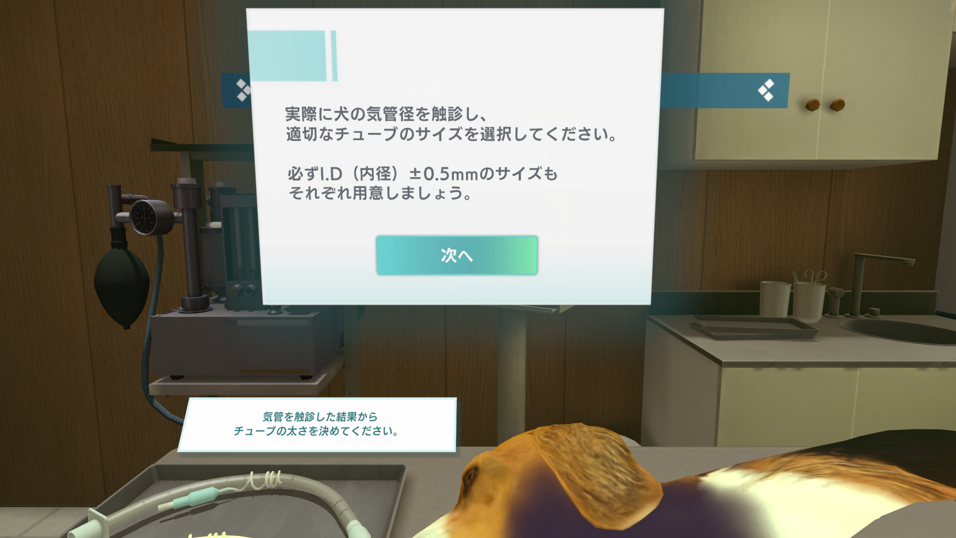 犬の気管挿管_ポイント解説