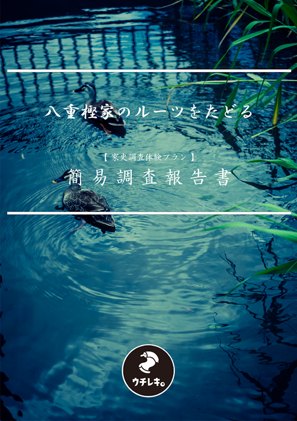 簡易調査報告書（データ納品）