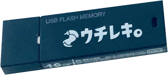 調査データ入りオリジナル USBメモリ