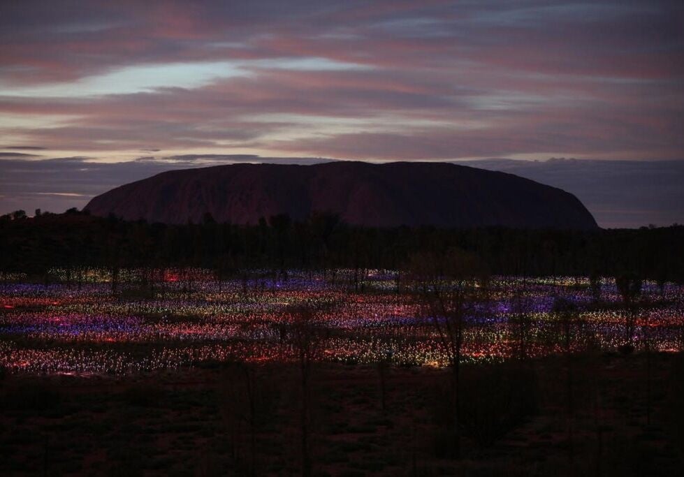 オーストラリア、ウルル(エアーズロック)で開催されている「Field of Light」 ©️Bruce Munro Studio