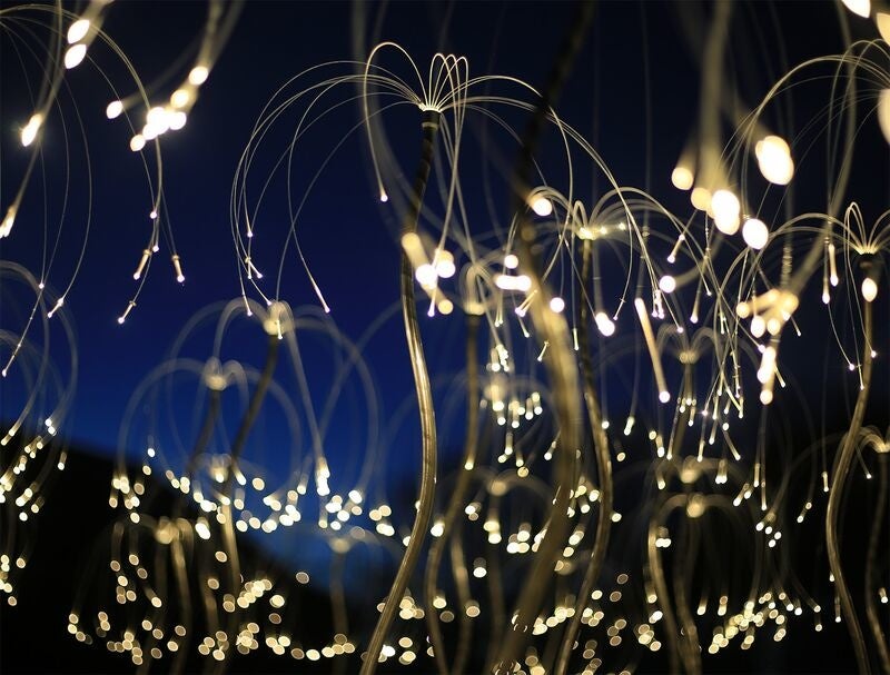 ブルース・マンロー・スタジオ(イギリス)にて制作された試作品 ©️Bruce Munro Studio