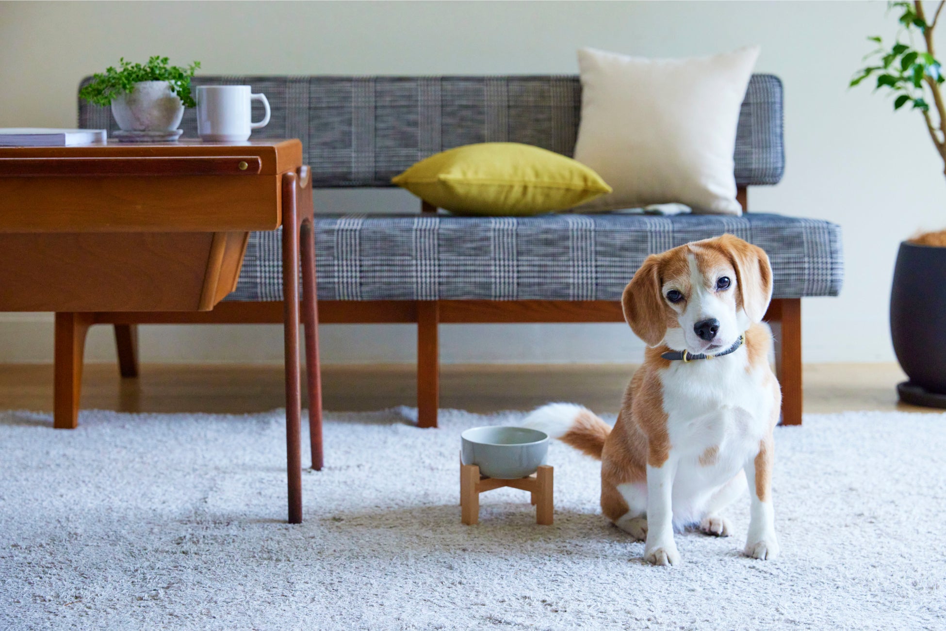 Idee Ideeから初めてペット用グッズ Milou By Idee を新発売 株式会社良品計画のプレスリリース Idee Ideeから初めてペット用グッズ Milou By Idee を新発売 株式会社良品計画のプレスリリース