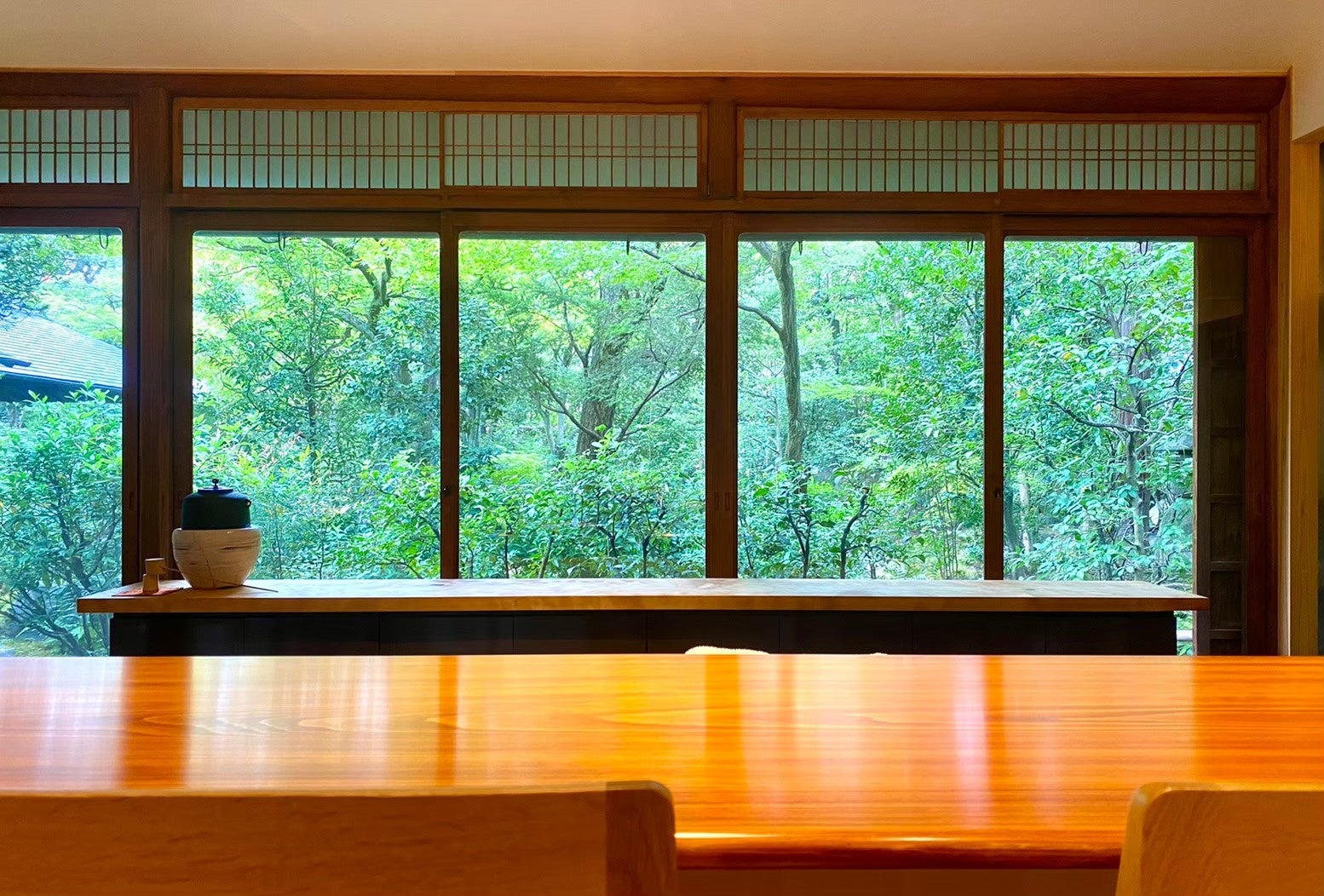 緑に包まれる食堂のカウンター席