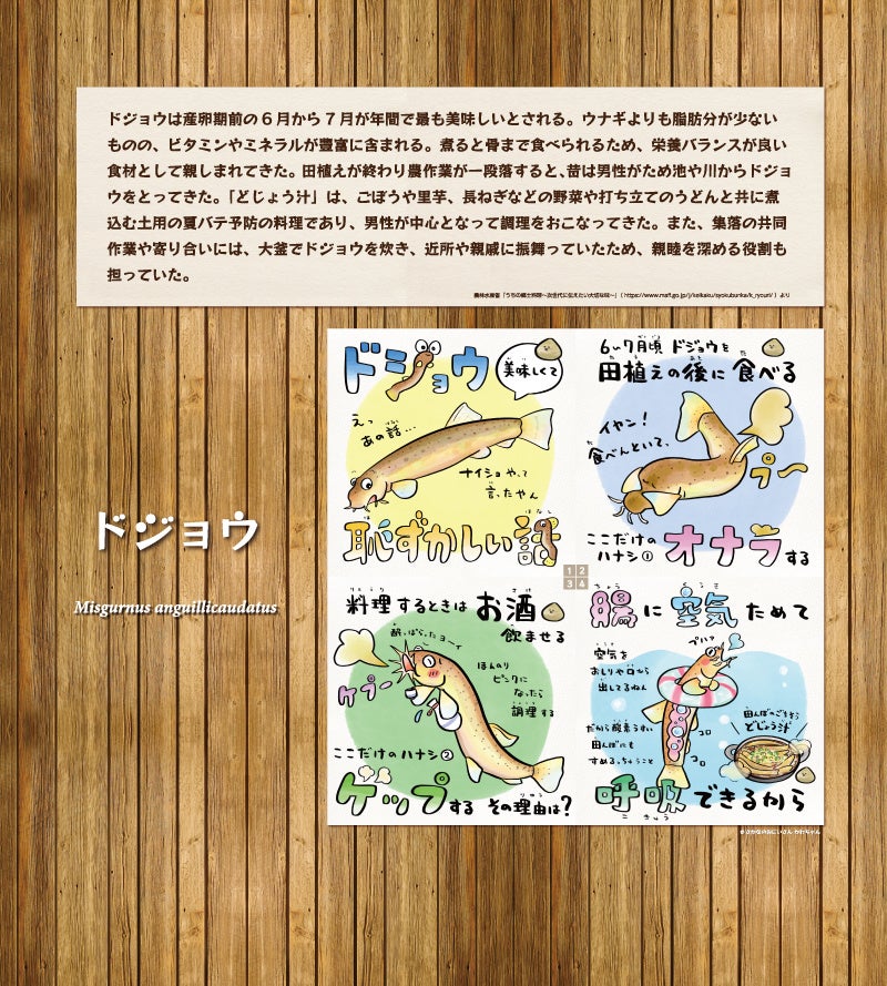 解説パネルイメージ