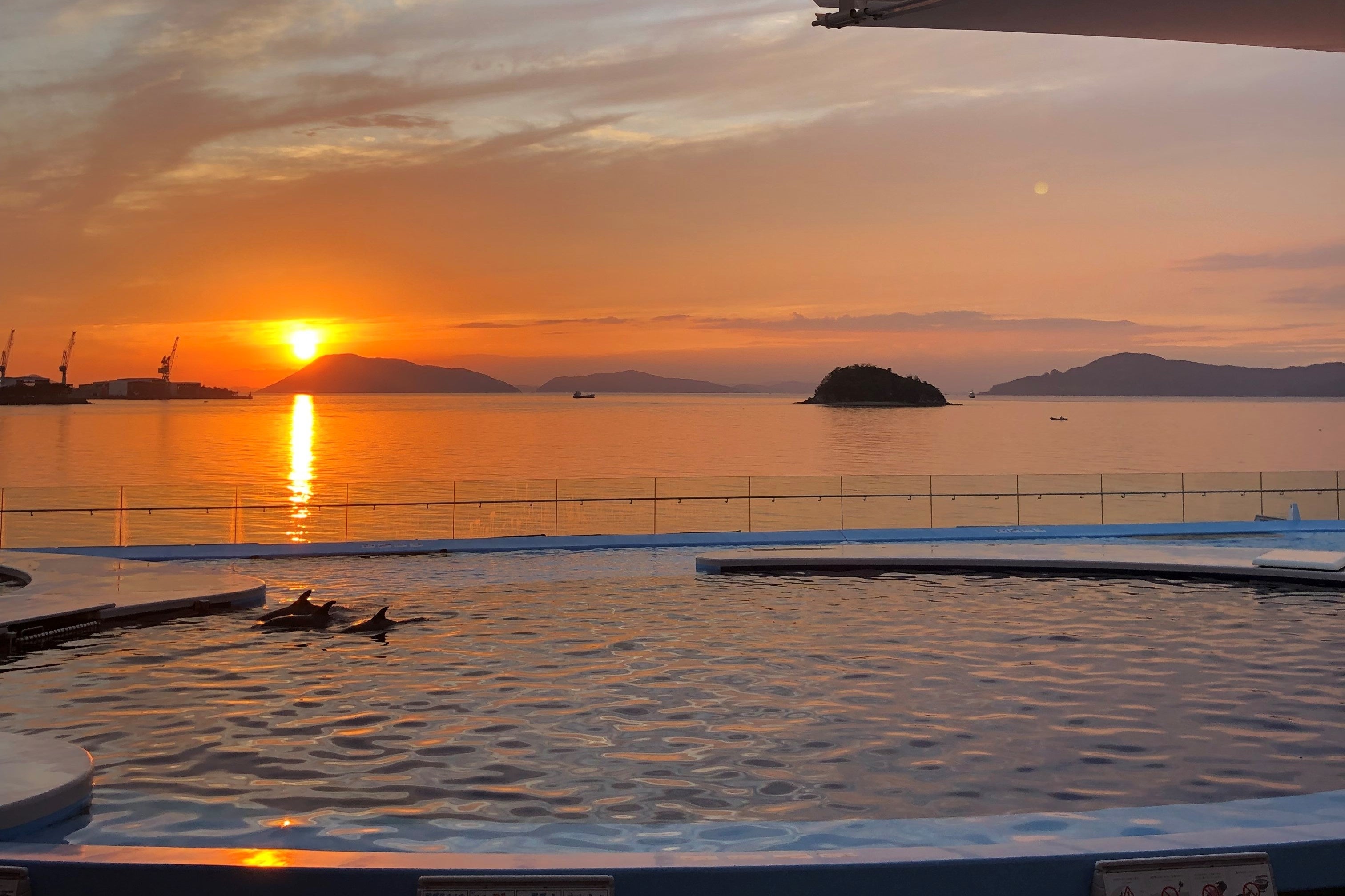 昨年実施の様子