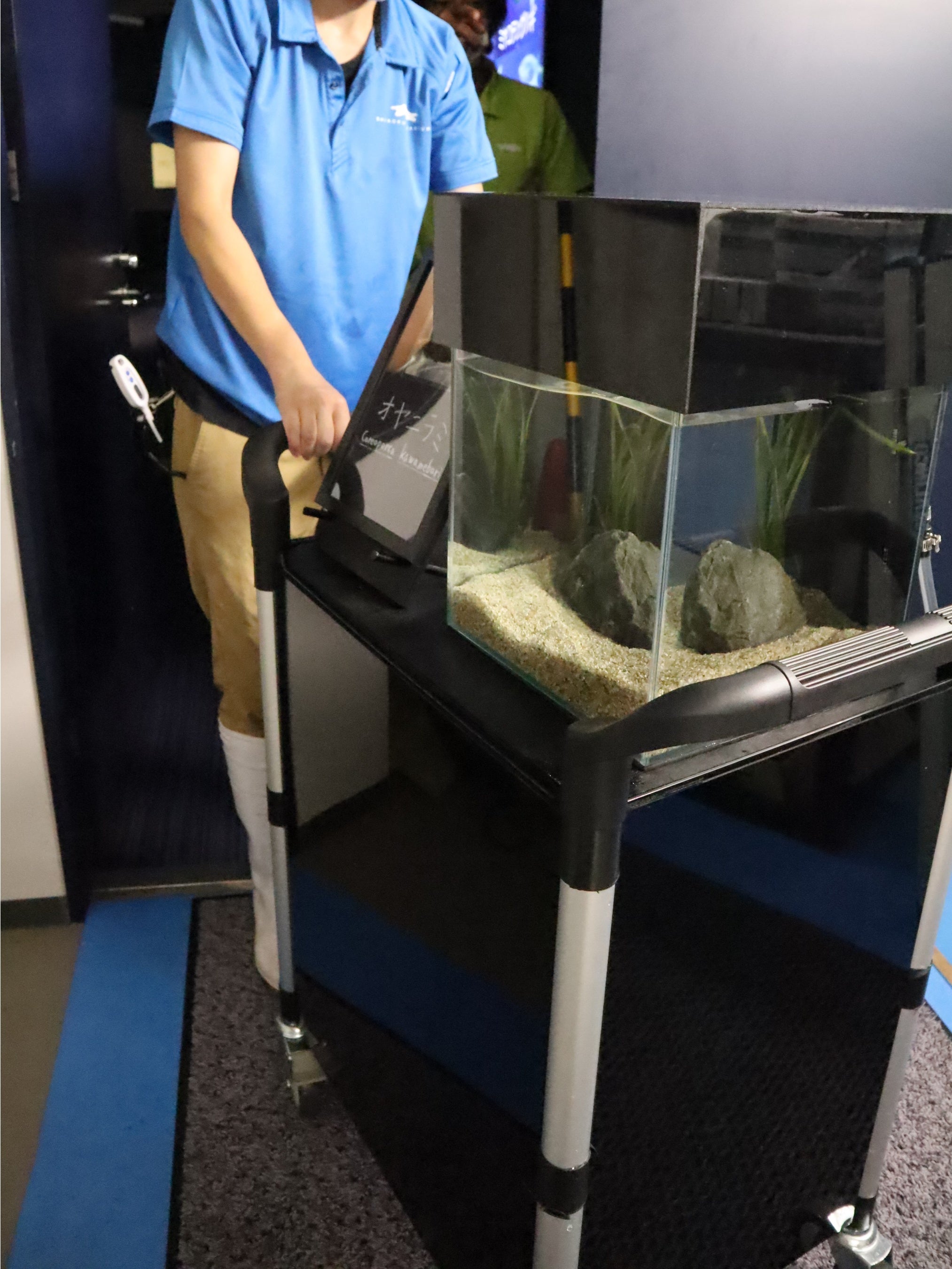 キャスター付きの水槽台