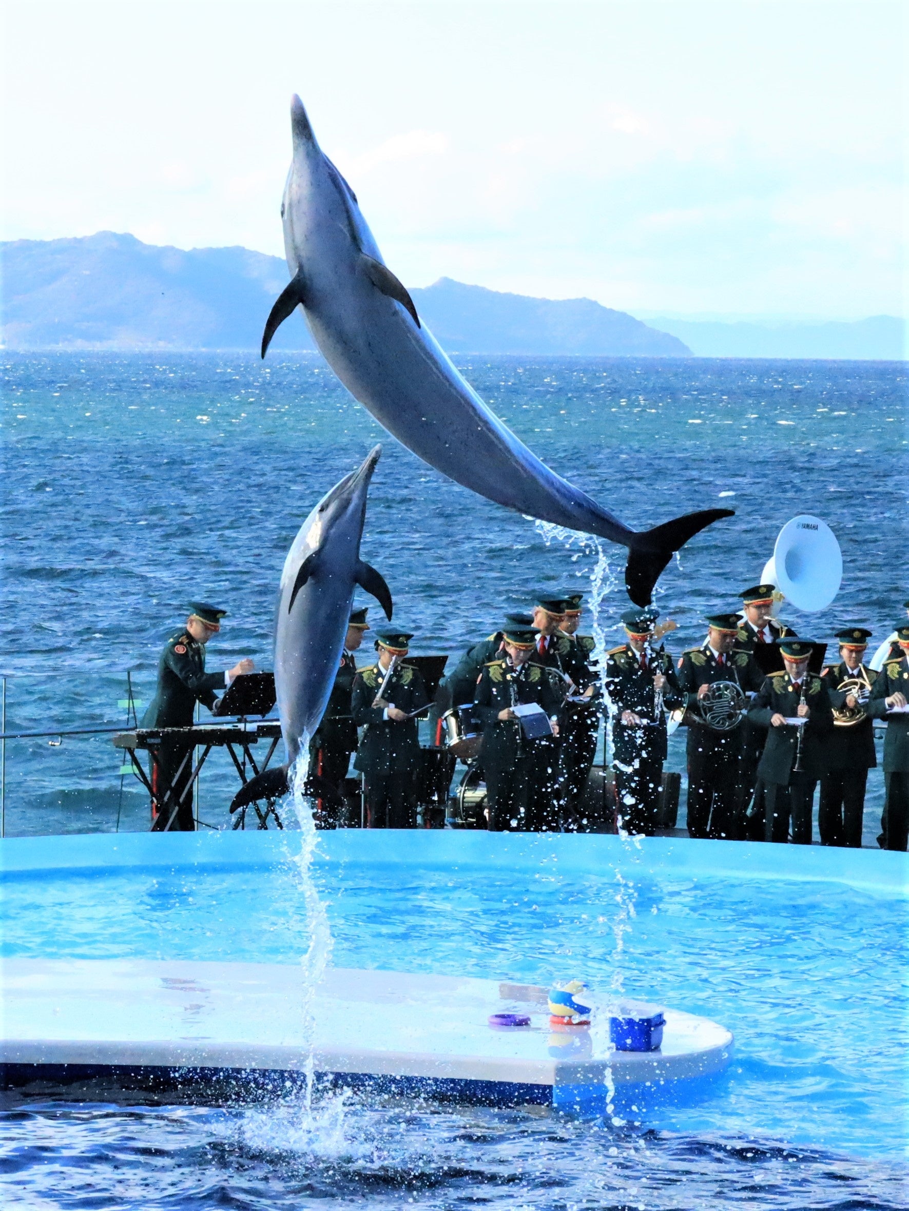 昨年開催したイベントの様子