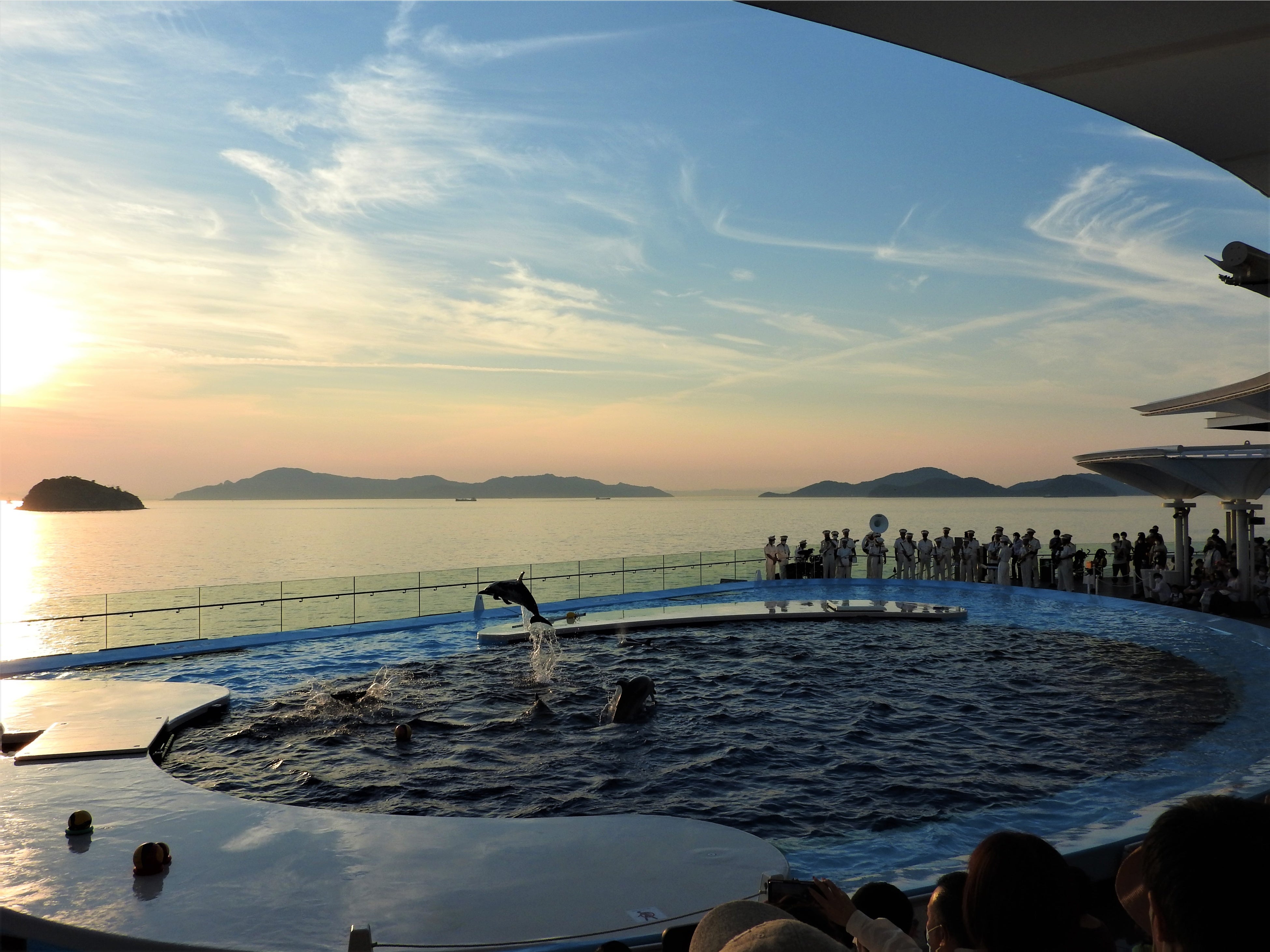 一日限りの特別プログラムを開催