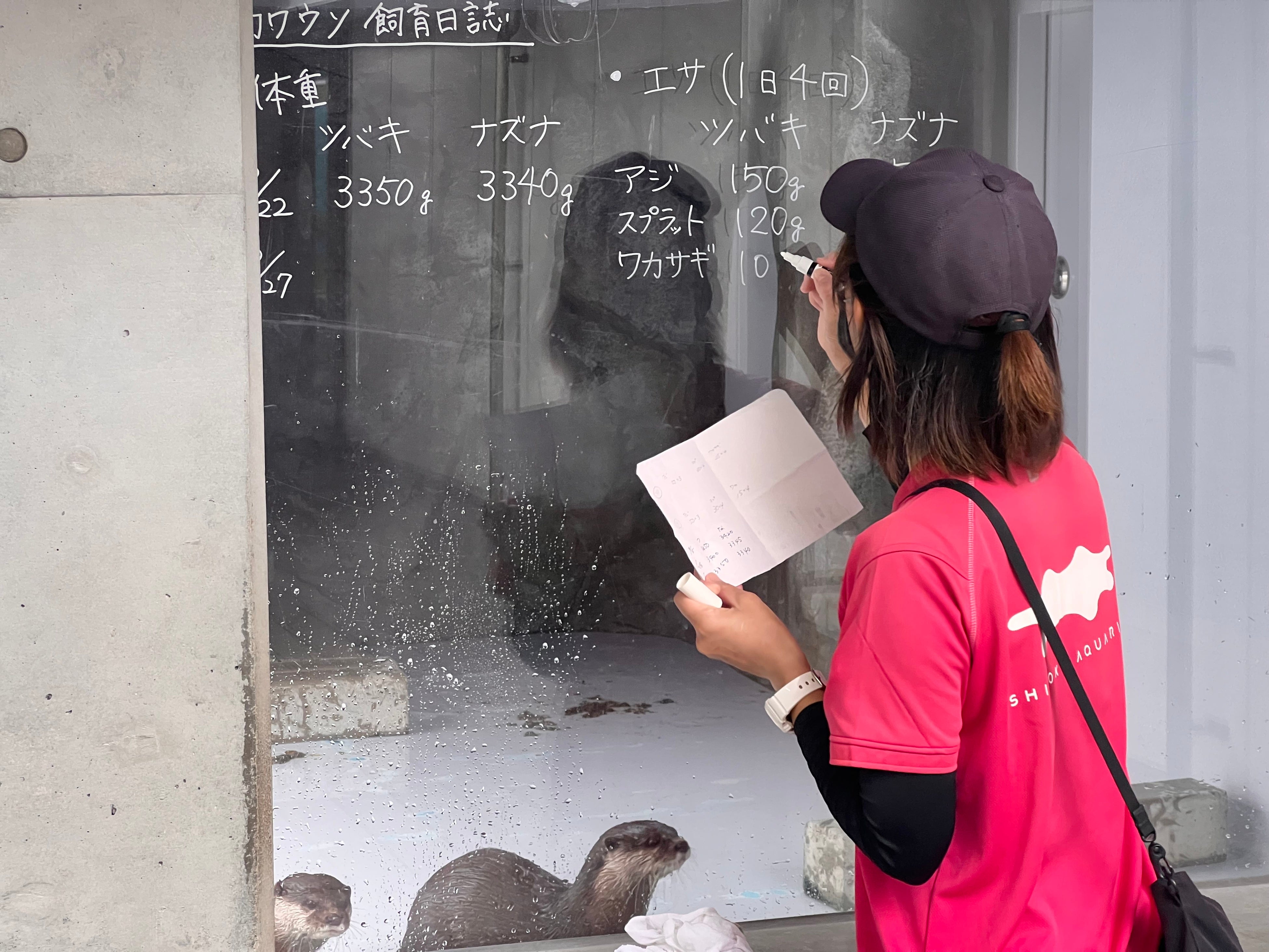 日々の飼育記録を記入していきます