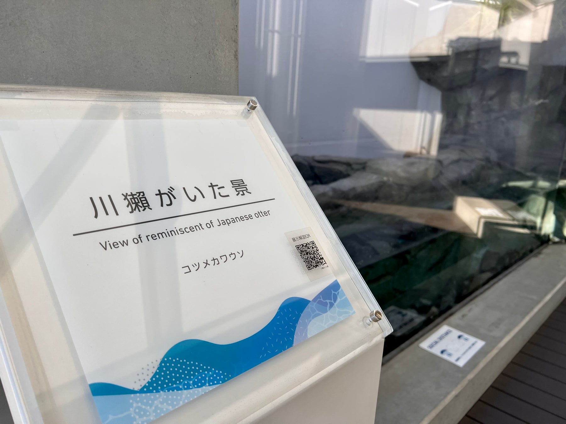 あの頃 ここにいた 四国水族館初のカワウソをテーマにした企画展 ニホンカワウソを巡る を開催します 株式会社四国水族館開発のプレスリリース あの頃 ここにいた 四国水族館初のカワウソをテーマにした企画展 ニホンカワウソを巡る を開催します 株式会社四国水族館開発のプレスリリース