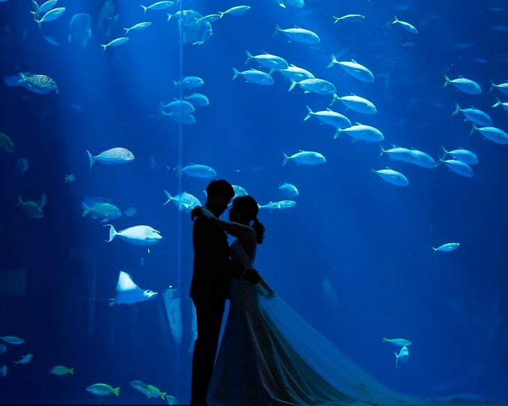 水族館挙式イメージ