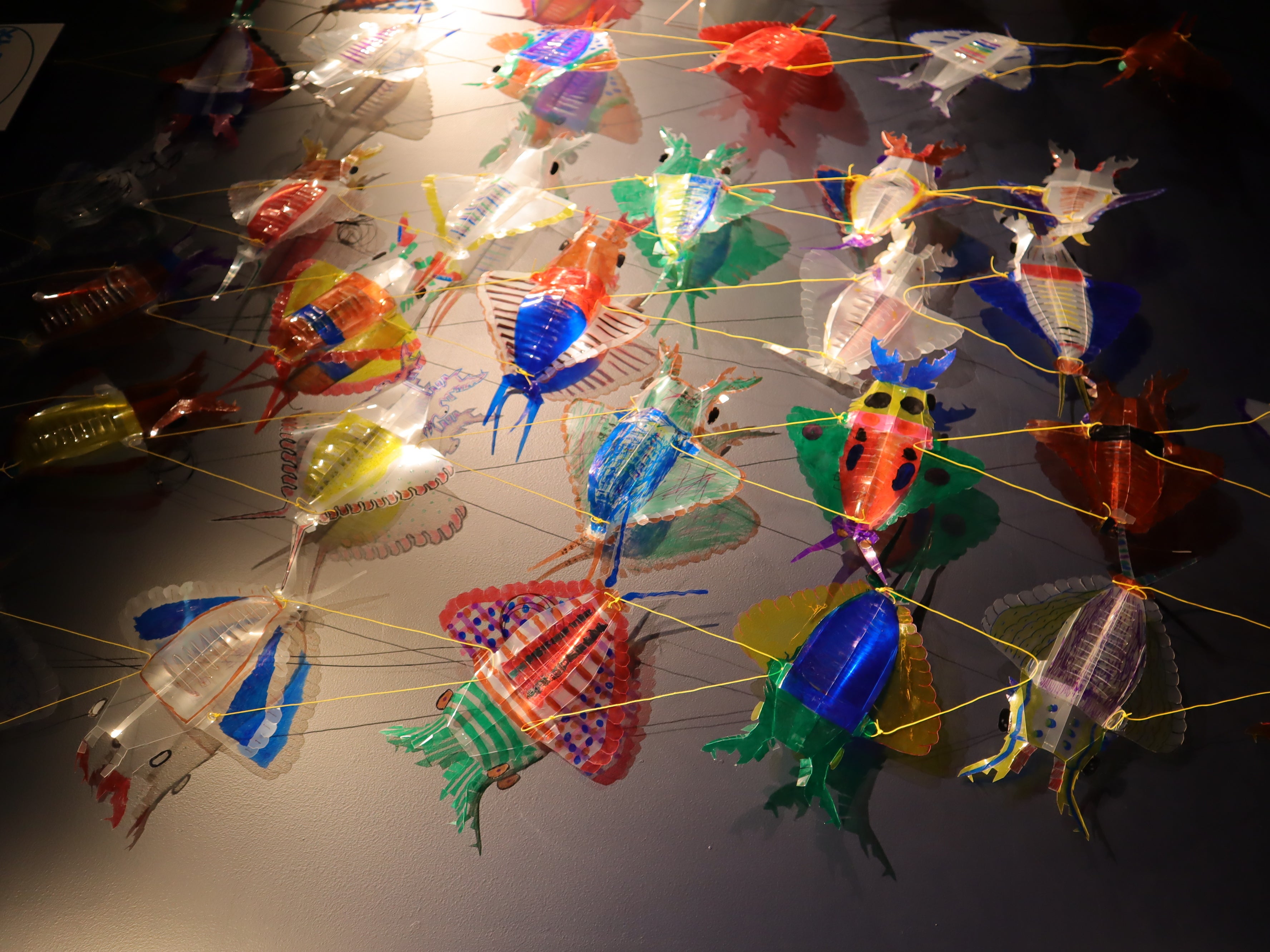 水中ロボット展示の様子