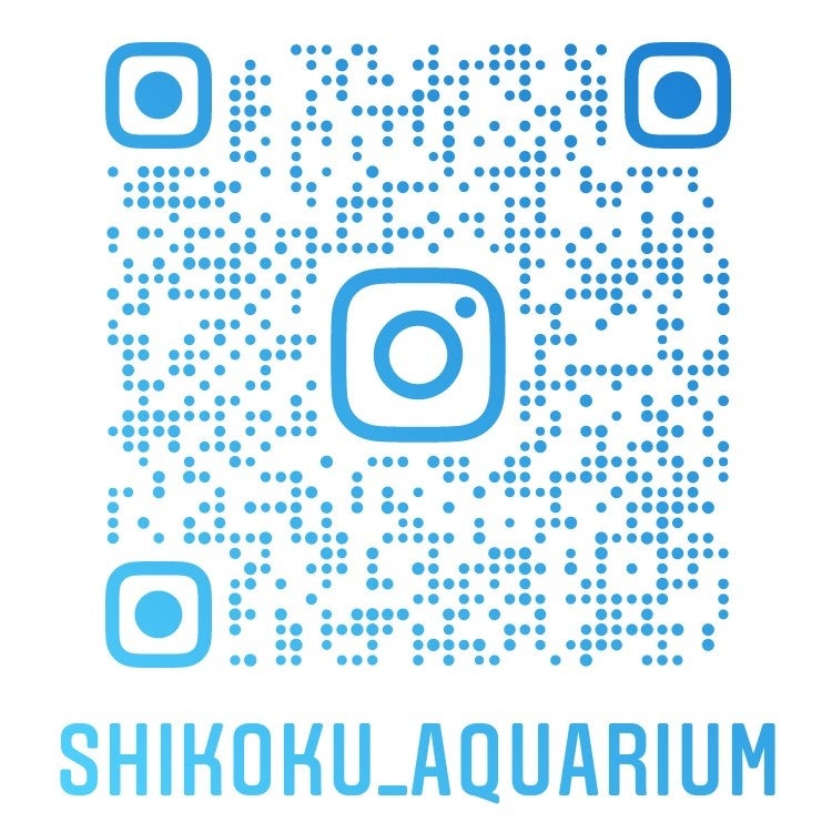 四国水族館Instagram QRコード