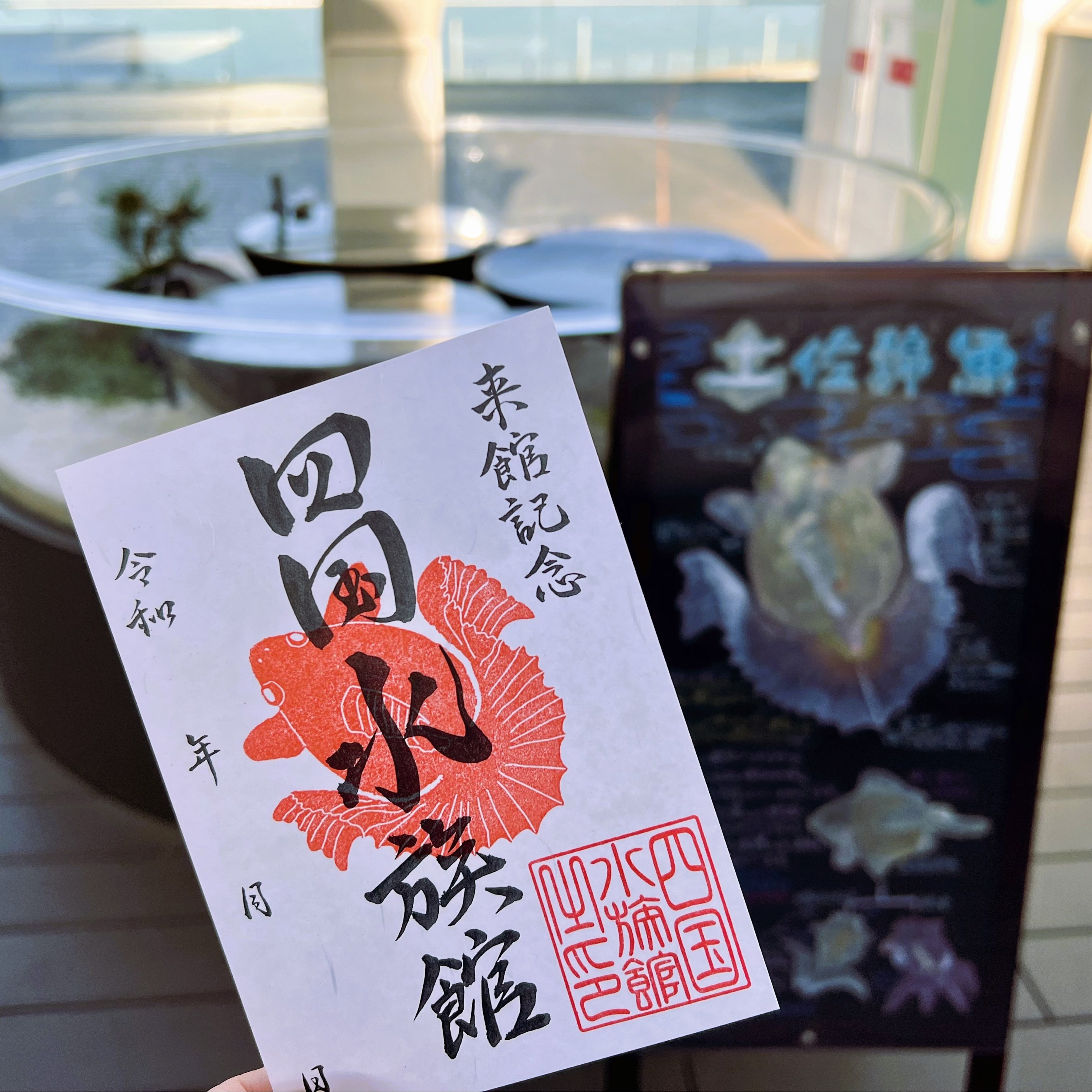 魚六様 リクエスト 4点 まとめ商品 魚六様 リクエスト 4点 まとめ商品 魚六様 リクエスト 4点