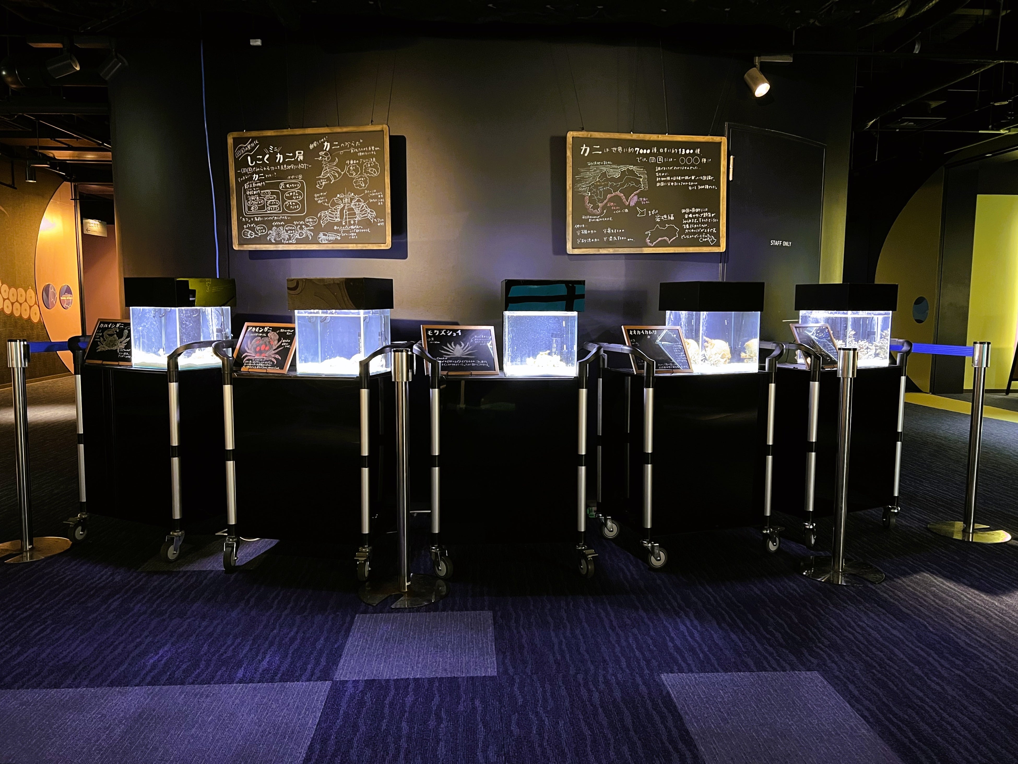 四国ミニカニ展全景