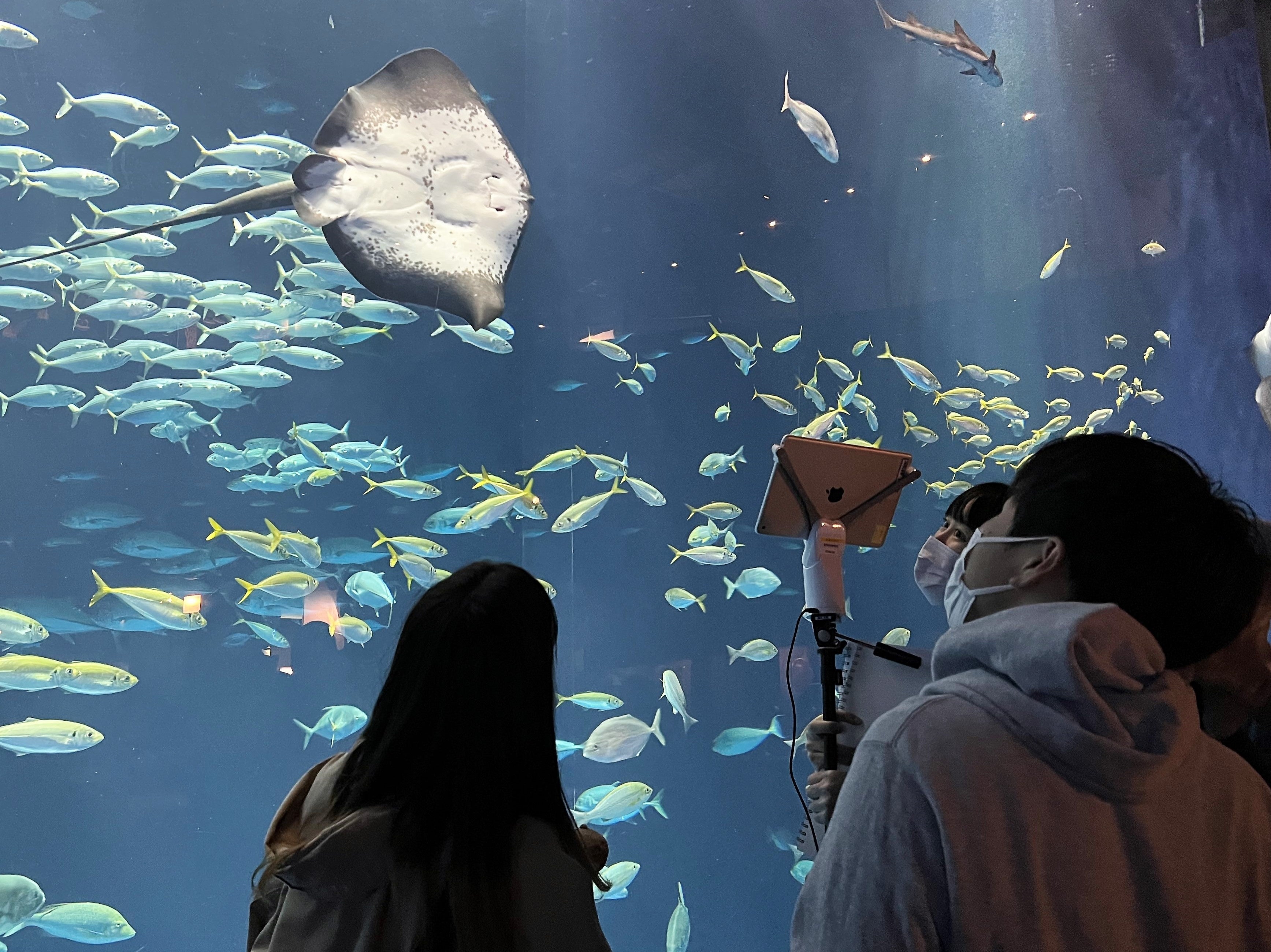 病室からつながる水族館　大水槽「綿津見の景」を見学