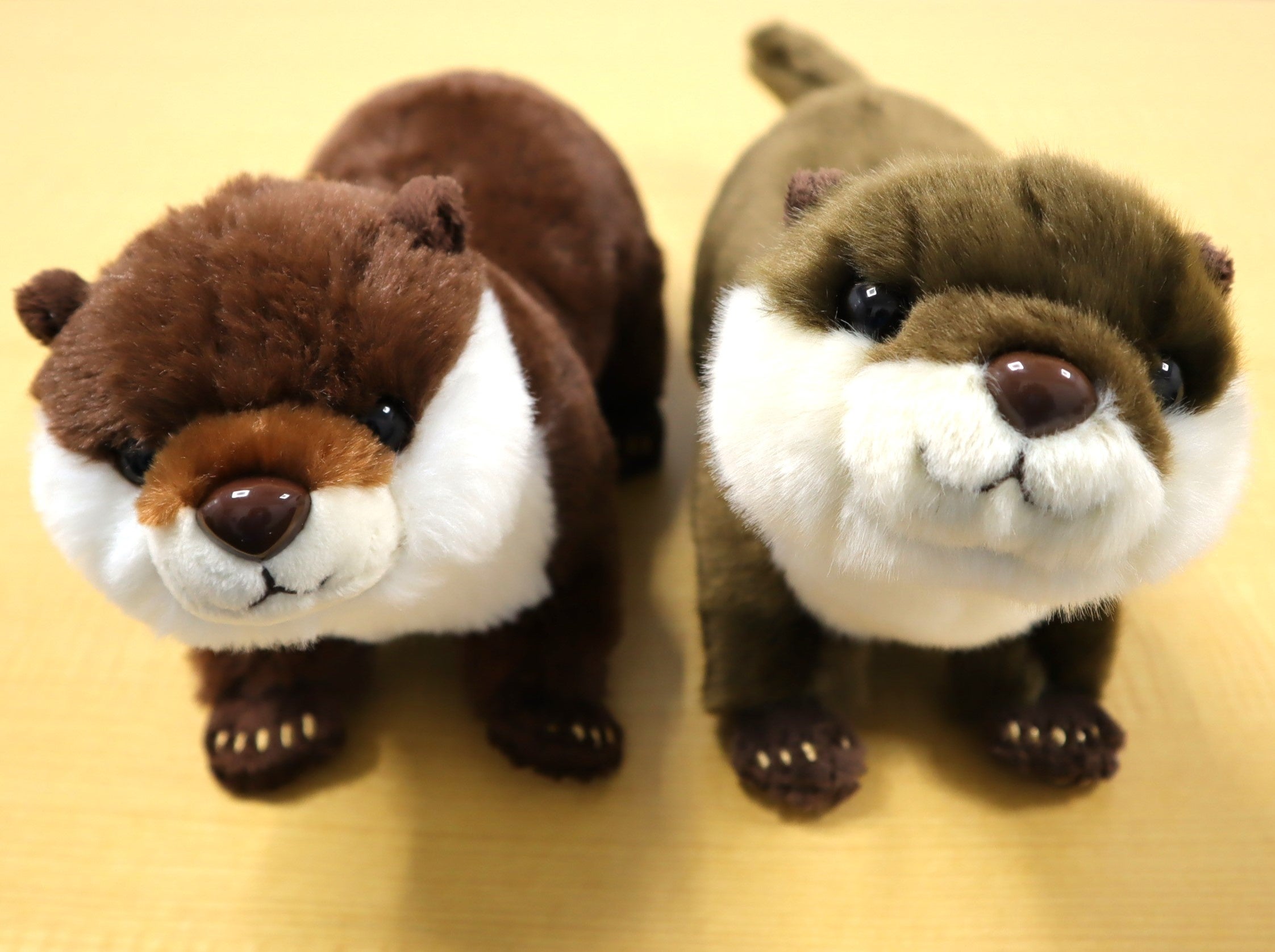 旧型（左：2,800円）とリニューアル後（右：2,900円）の違い