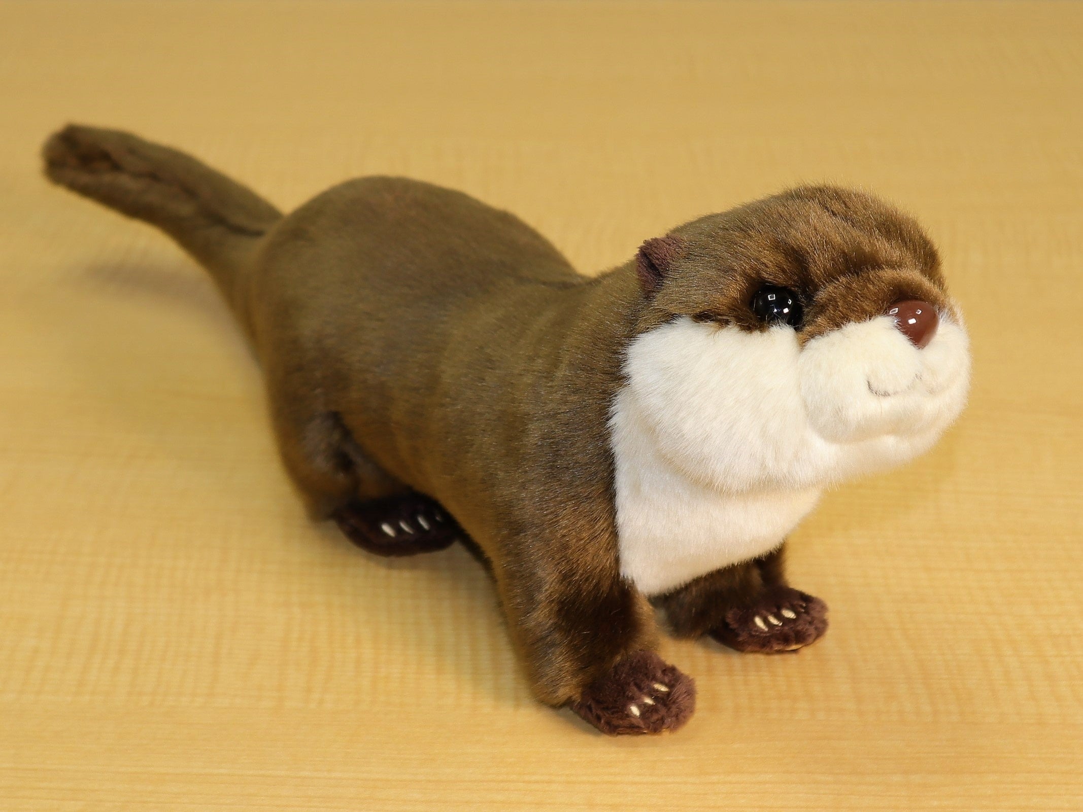 リニューアル後リアルぬいぐるみコツメカワウソ（2,900円）