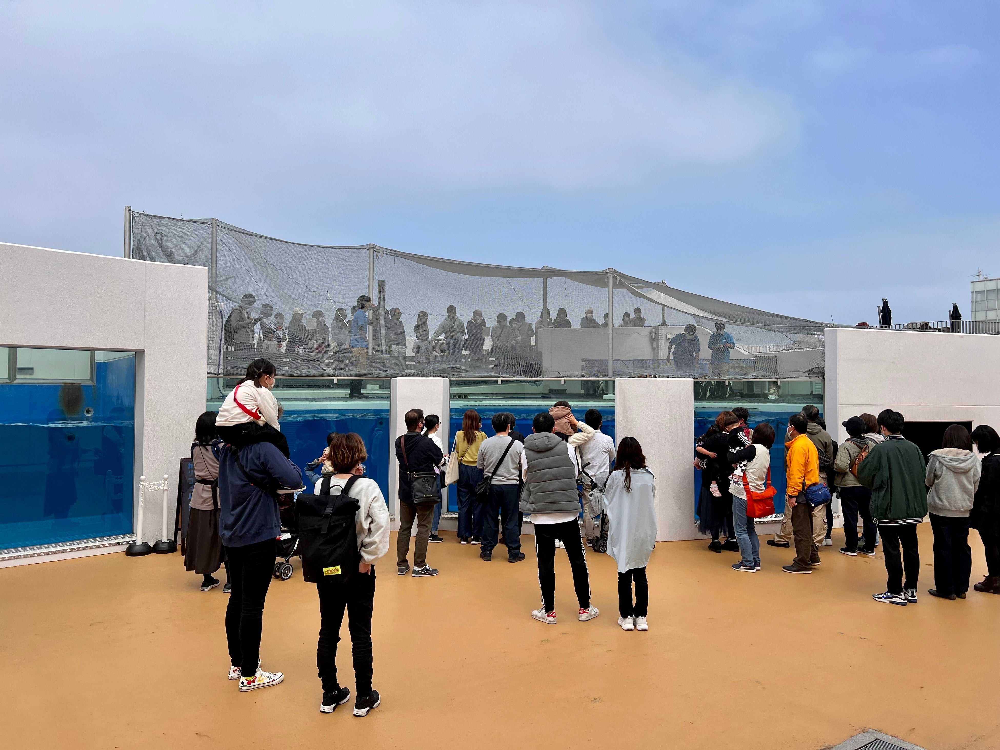 お客様でにぎわうペンギン展示エリア