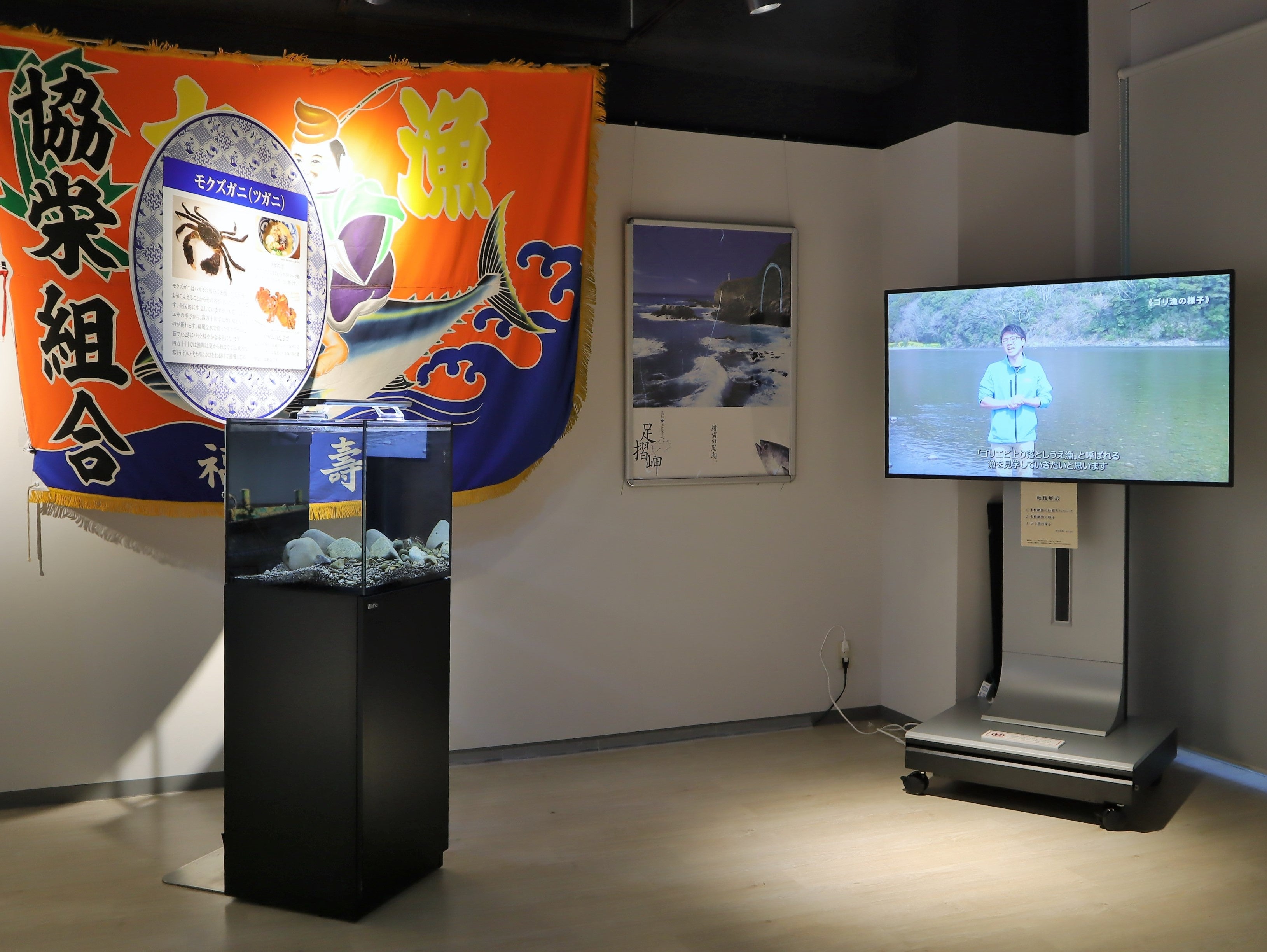 映像コンテンツ