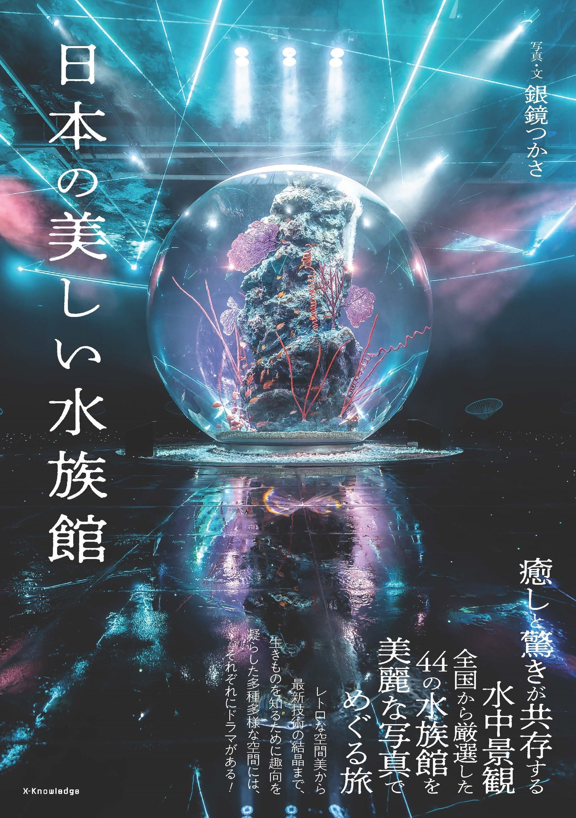 初版帯付 積木鏡介 魔物どもの聖餐ミサ 講談社ノベルス 劇場版 レッツゴー！まいぜんシスターズ 家族再会 | 読みたい本