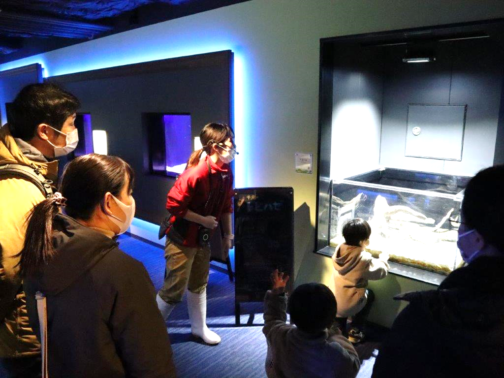 サンクス・ナイト　飼育スタッフによる解説プログラム（イメージ）