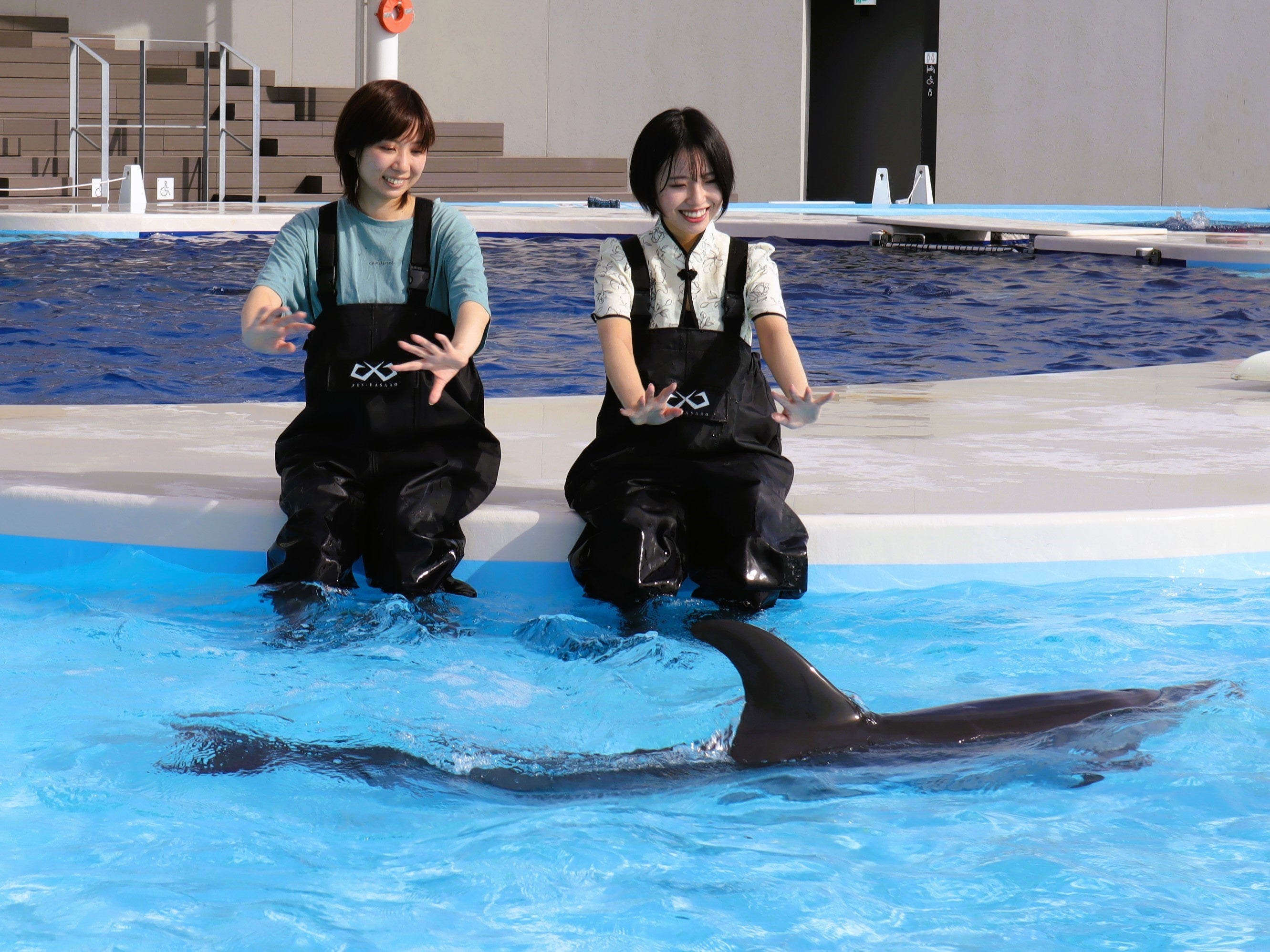 イルカに大接近！四国水族館でシン・体験プログラム「ドルフィン