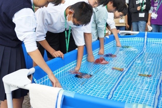 STEAM教育で製作したロボット競技大会の様子（10月28日）