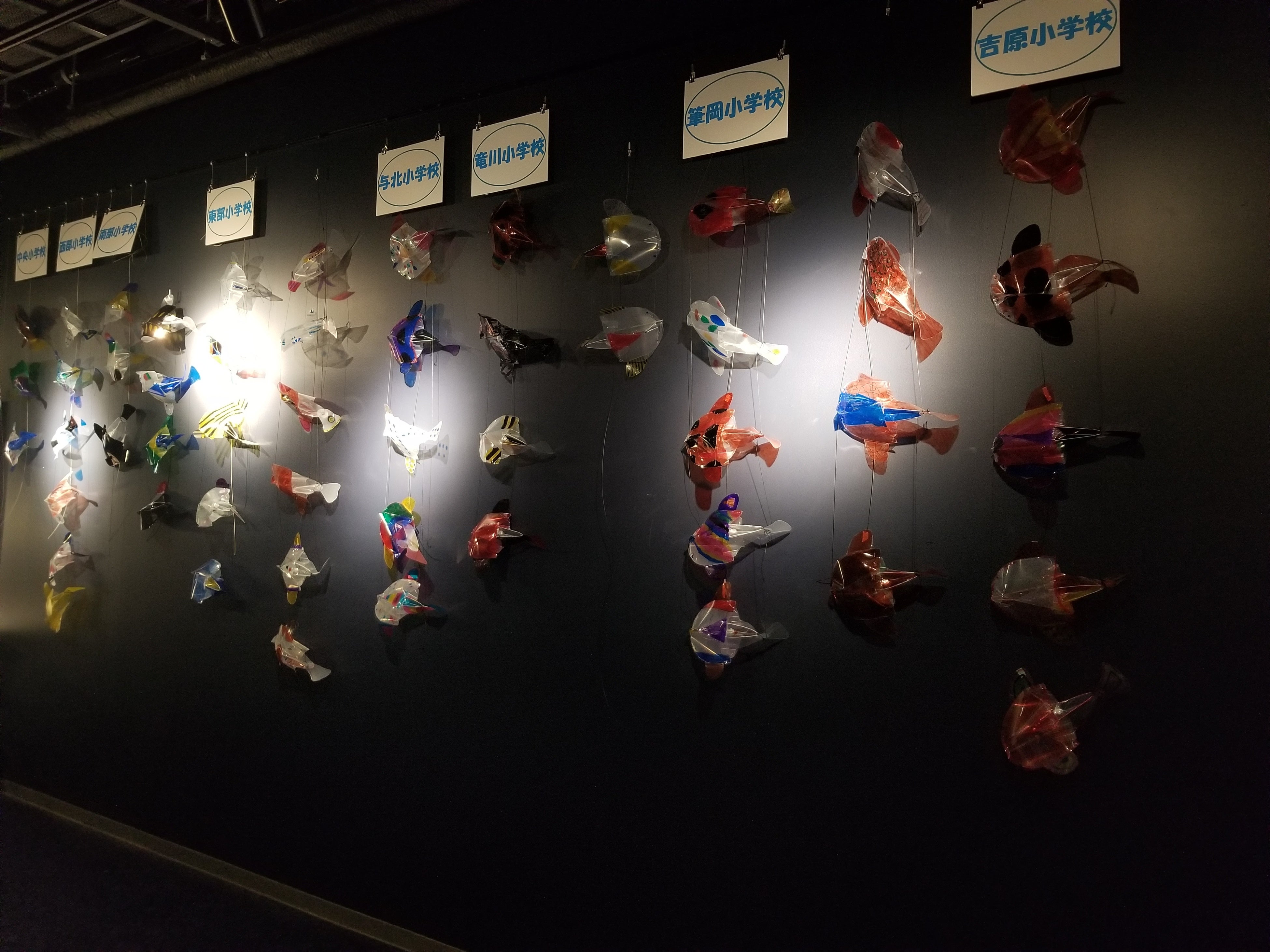 児童が製作した簡易水中ロボット