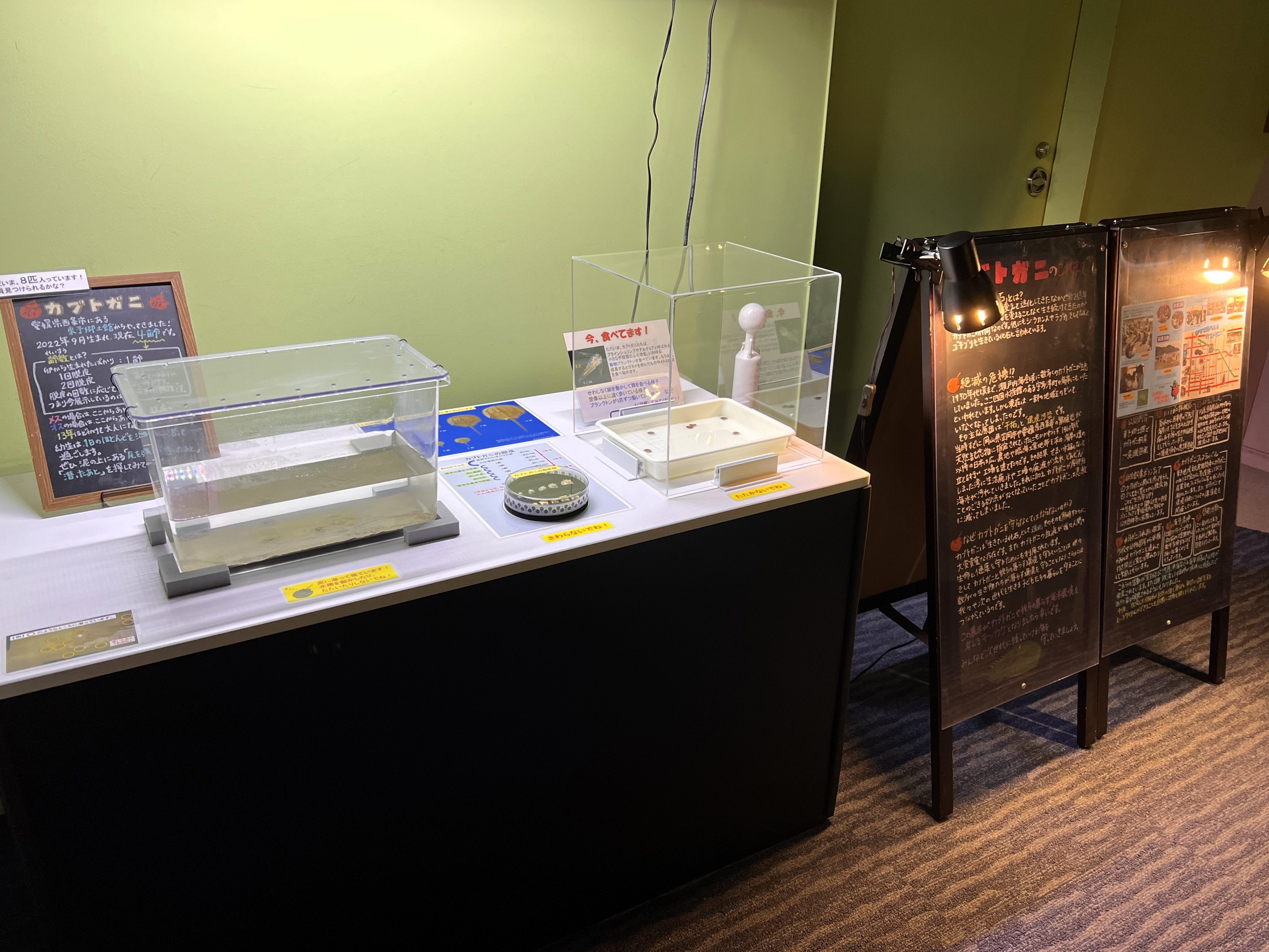 展示全体の様子