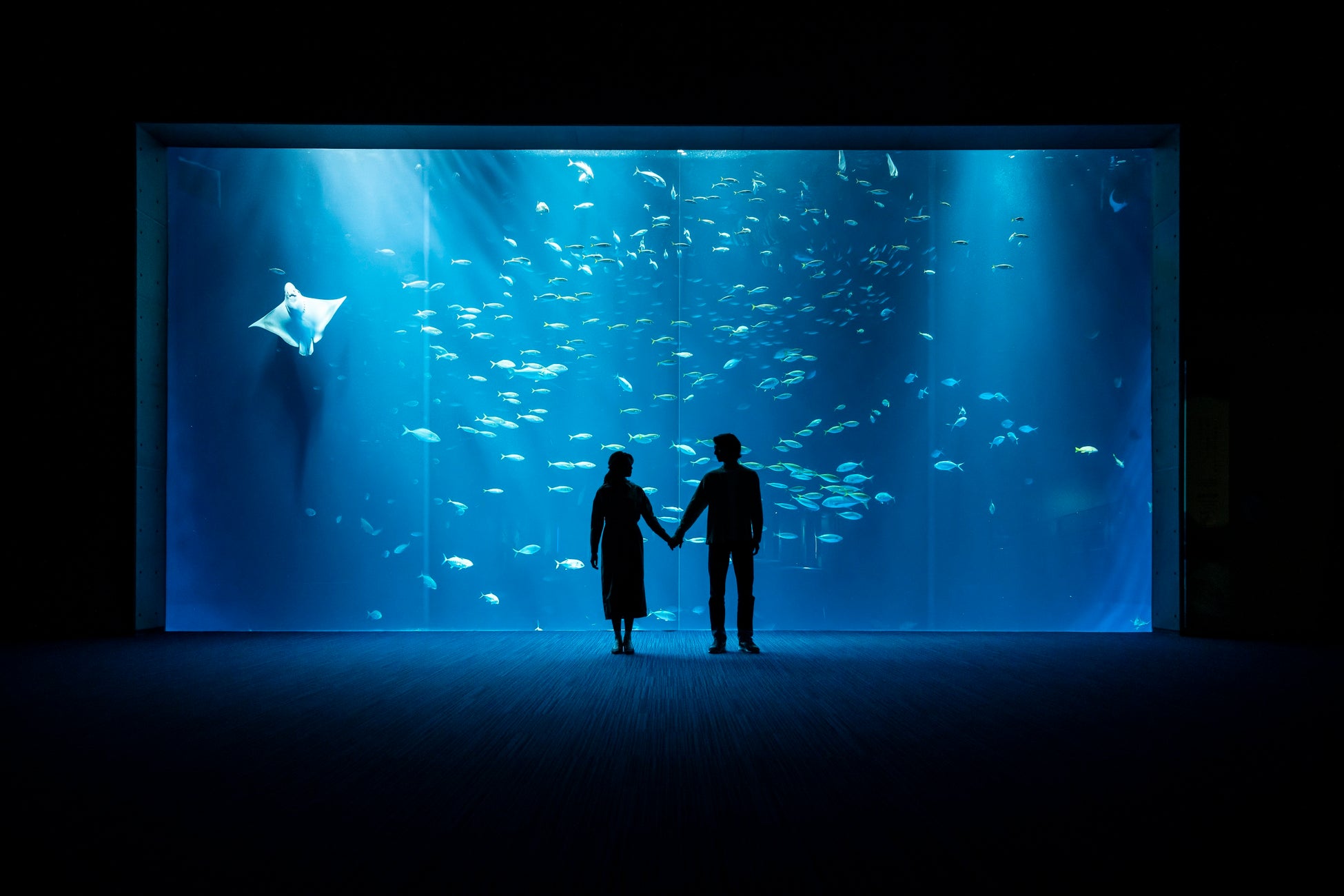 夜間照明イメージ(綿津見の景)