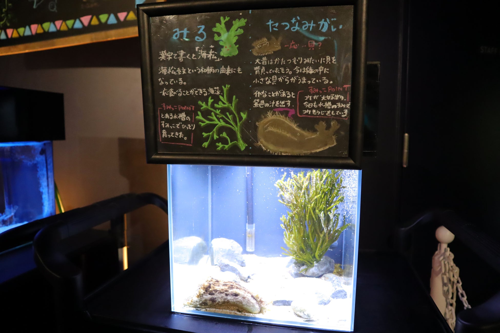 ゆるいイラストとゆるい解説板にも注目