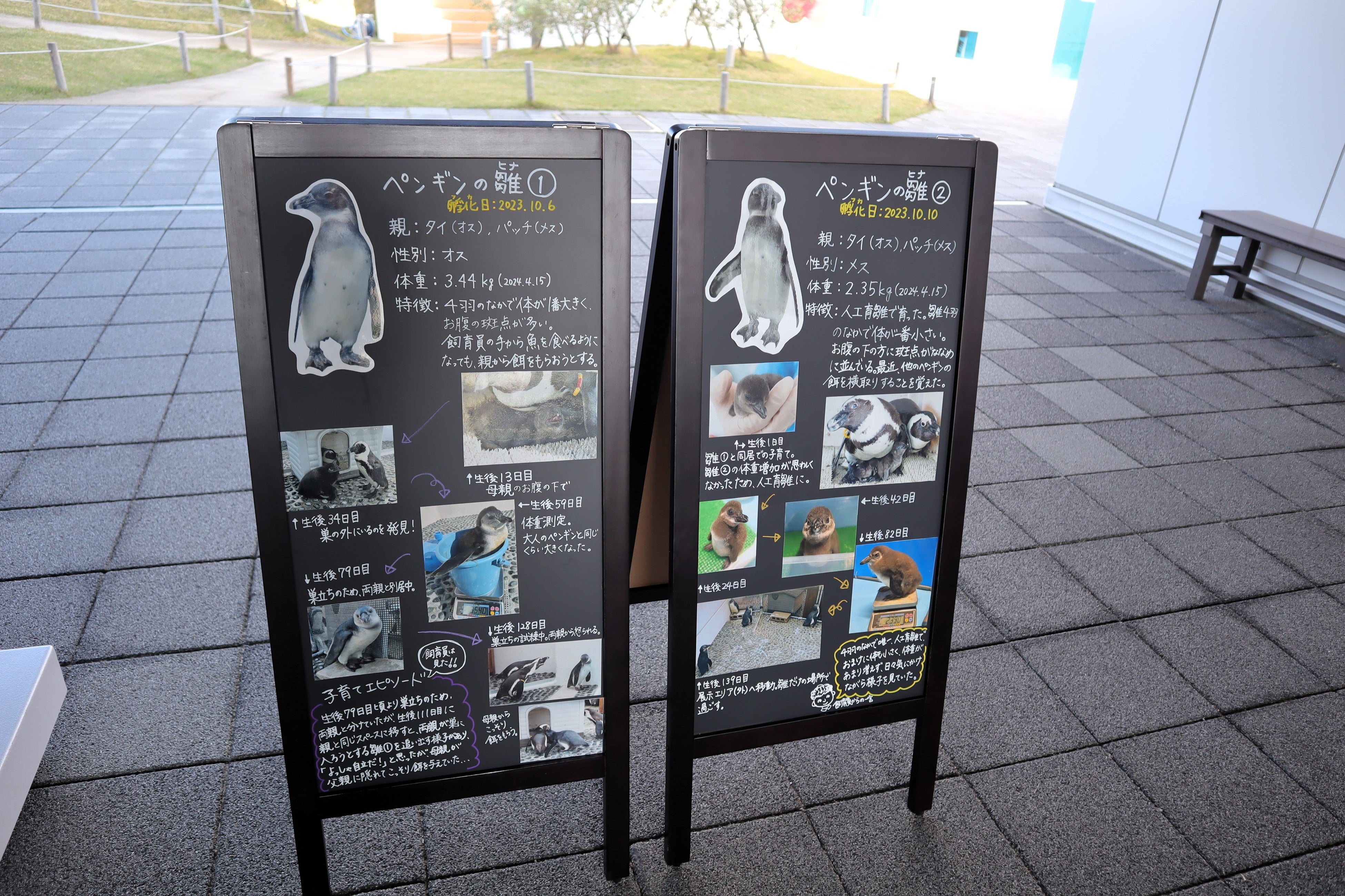 成長記録ボード1