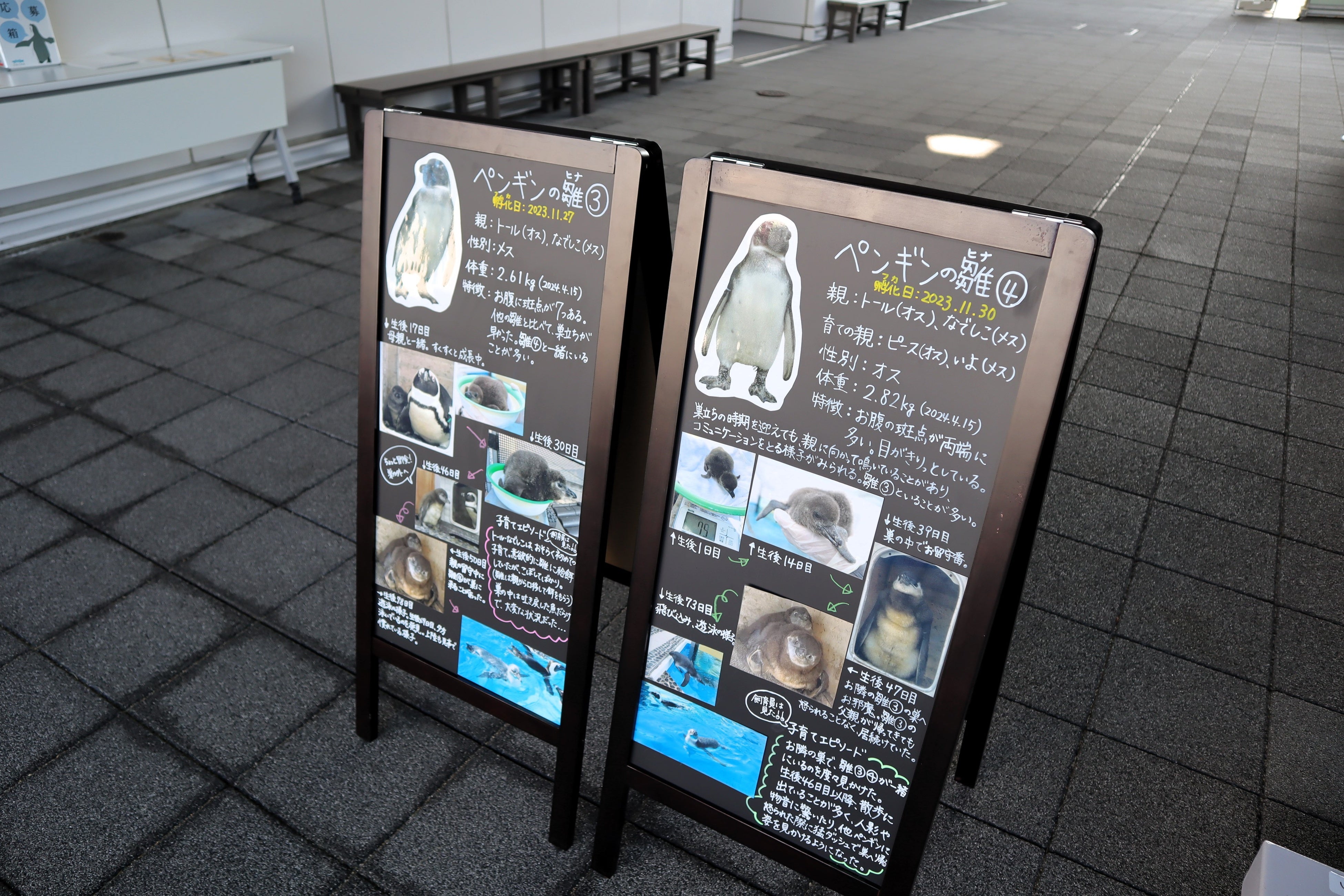 成長記録ボード2