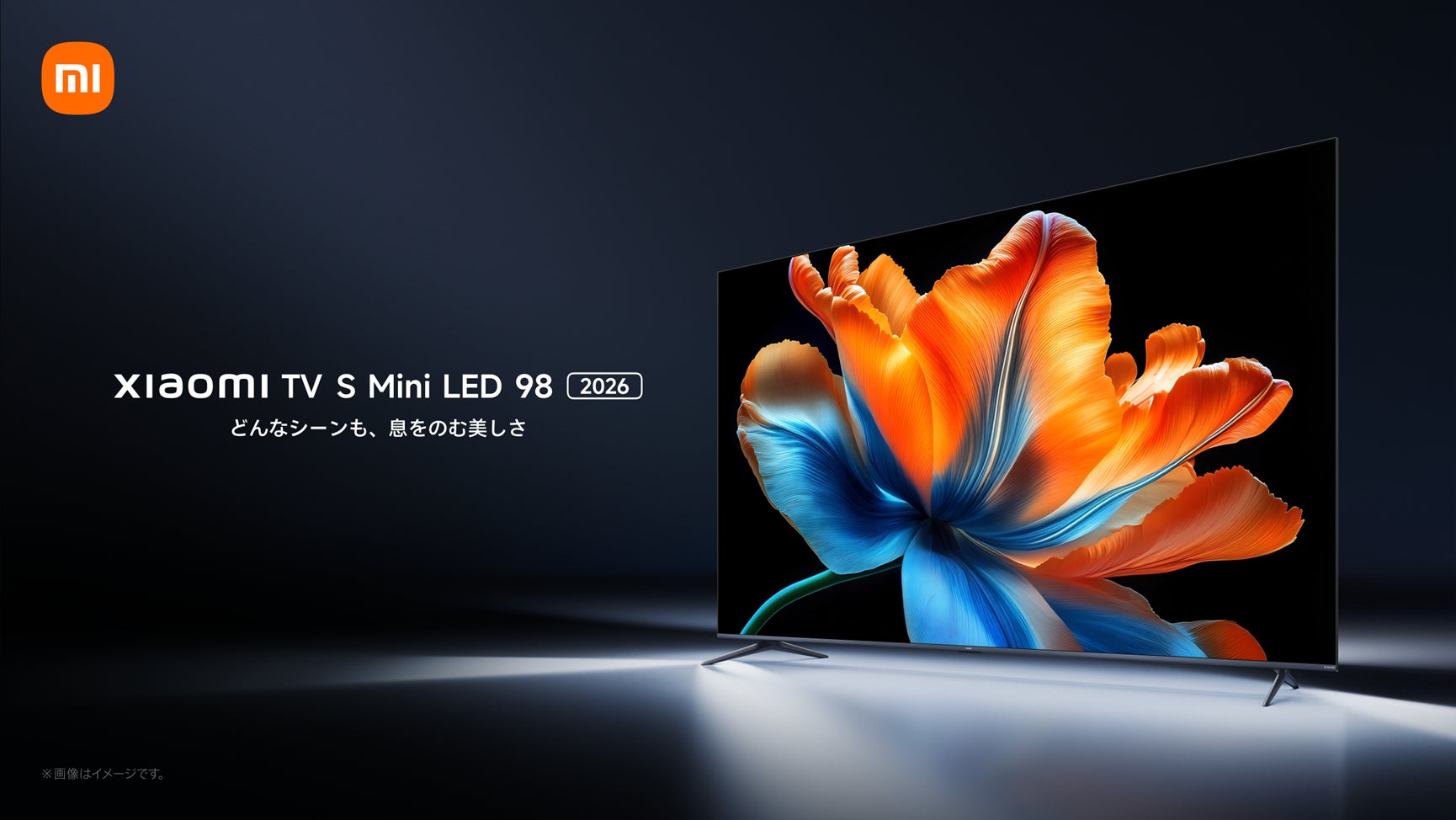 圧巻の映像美と圧倒的没入感。Mini LED 搭載フラッグシップモデル 圧巻の映像美と圧倒的没入感。Mini LED 搭載フラッグシップモデル
