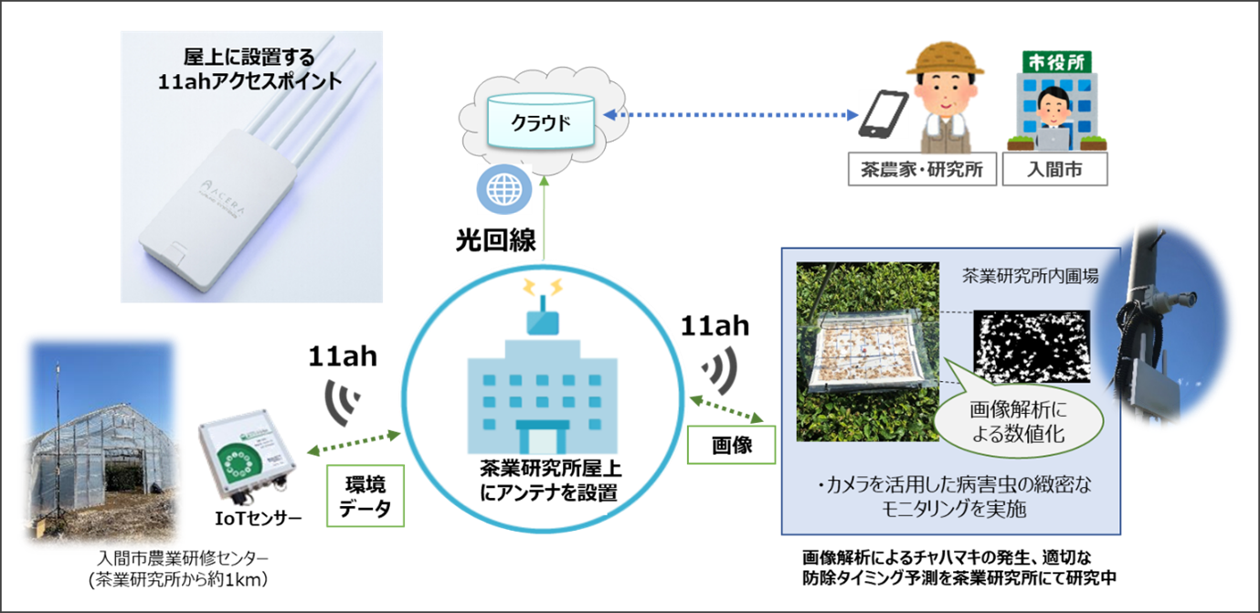 Wi-Fi新規格「IEEE 802.11ah」を活用した茶葉栽培の農業DXの実証実験を