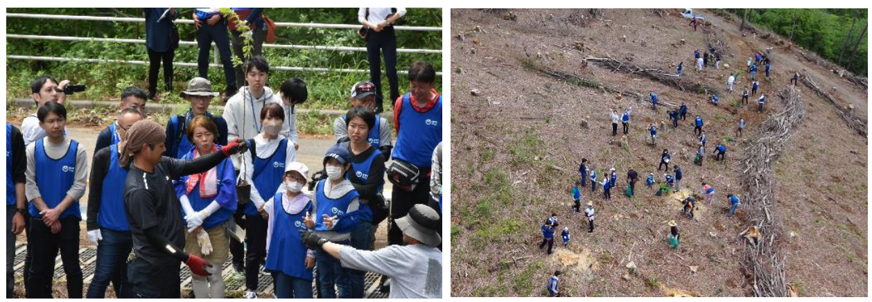 植樹の説明模様／植樹の模様(ドローンからの映像)