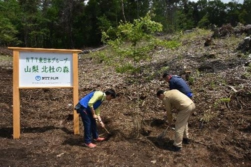 記念樹の植樹模様