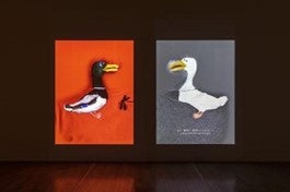 黒田大スケ《アサノの為のプラクティス》2022年　撮影：大塚敬太＋稲口俊太（参考図版）